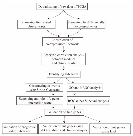 Biomedicines, Free Full-Text