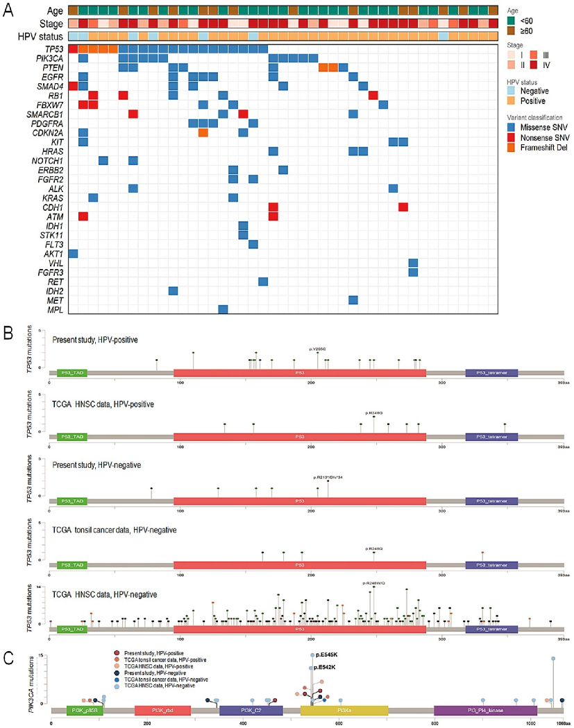 Biomedicines 11 00851 g001 Biomedicines 11 00851 g001
