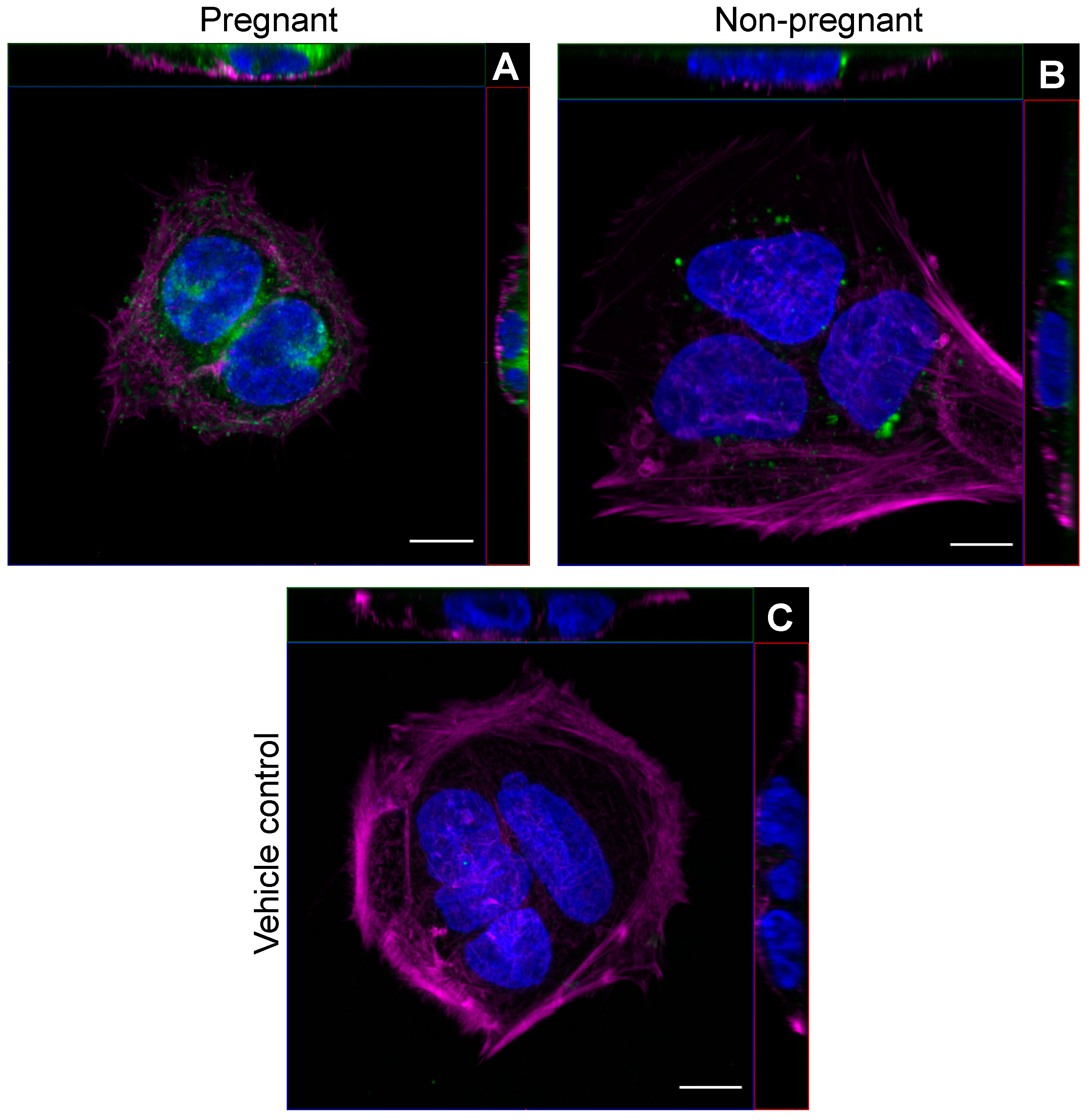 Biomedicines 11 00857 g001