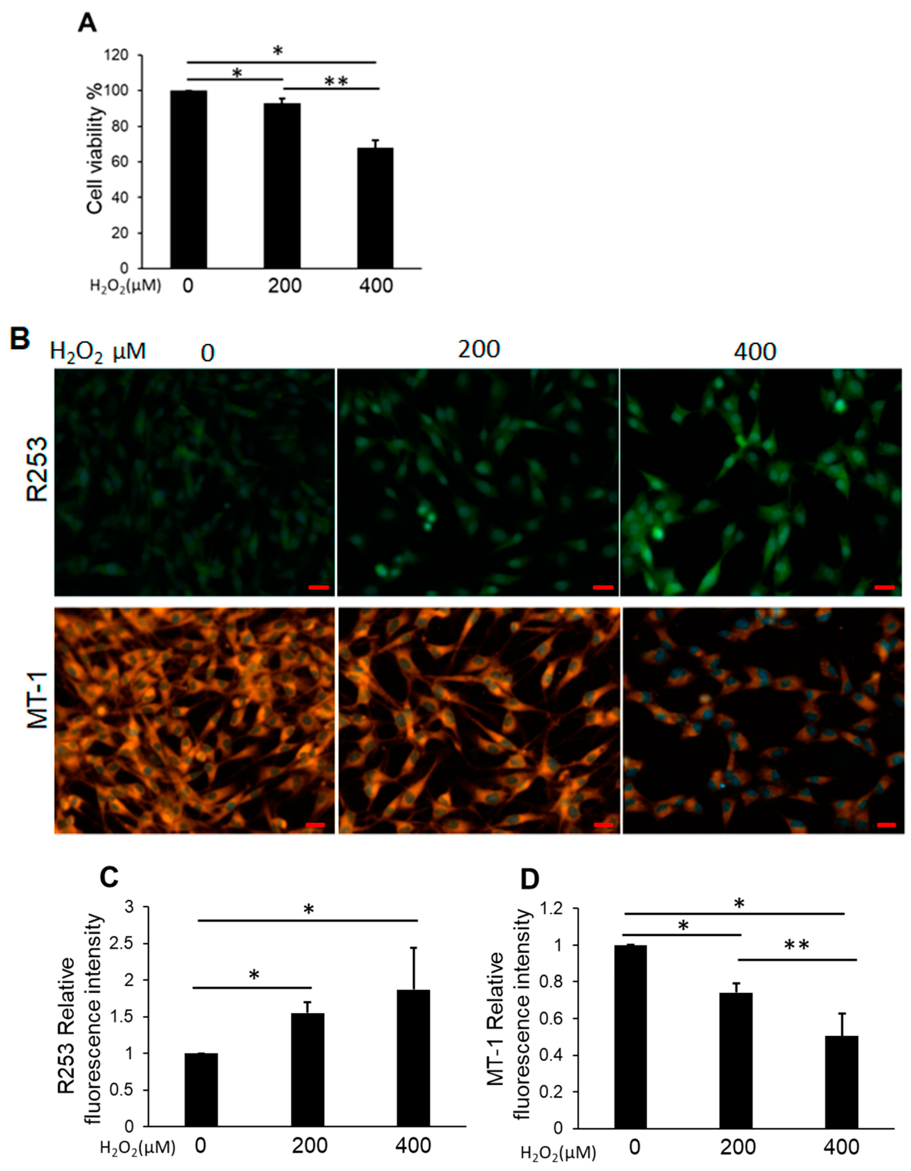 Biomedicines 11 00863 g002 Biomedicines 11 00863 g002