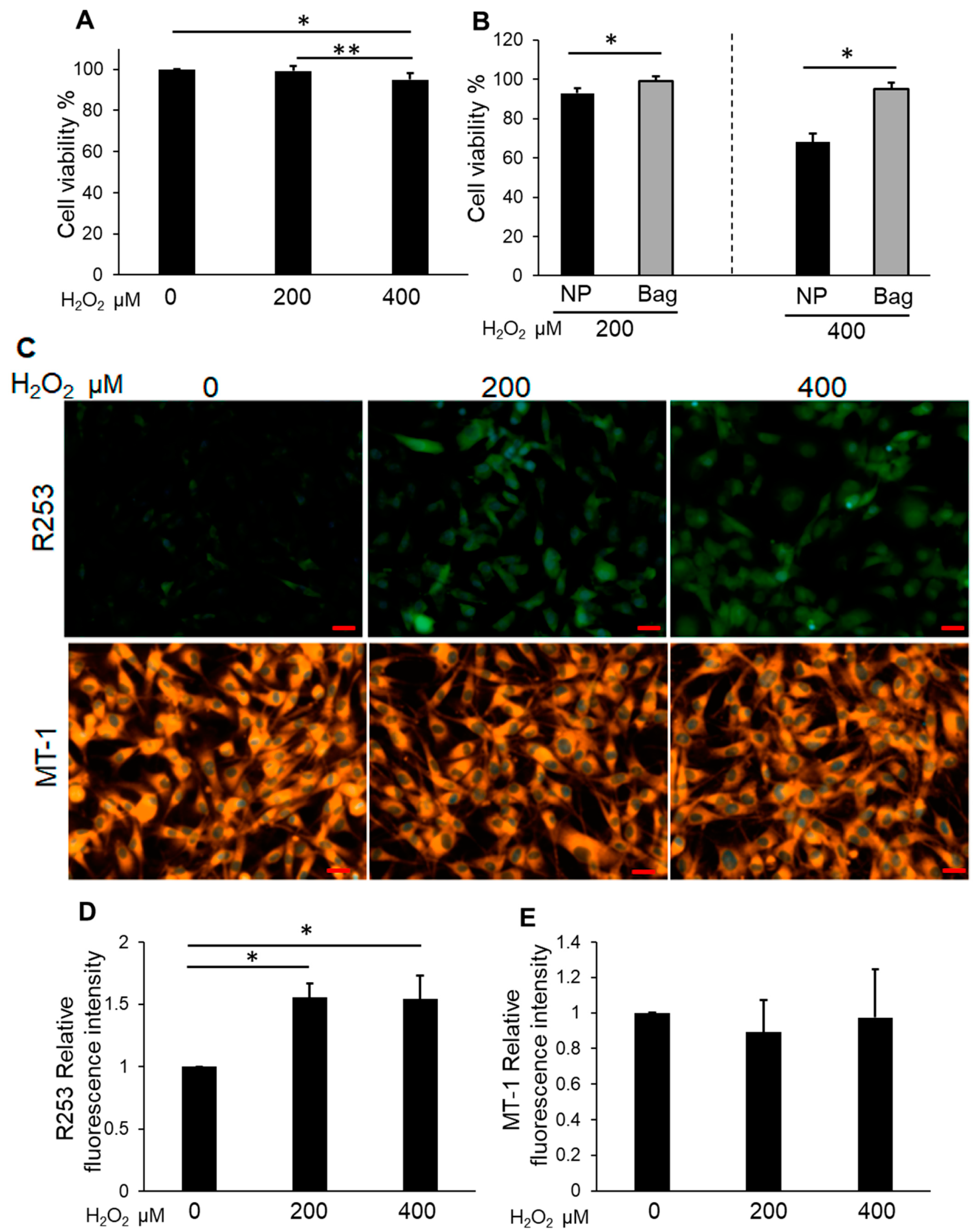 Biomedicines 11 00863 g003 Biomedicines 11 00863 g003