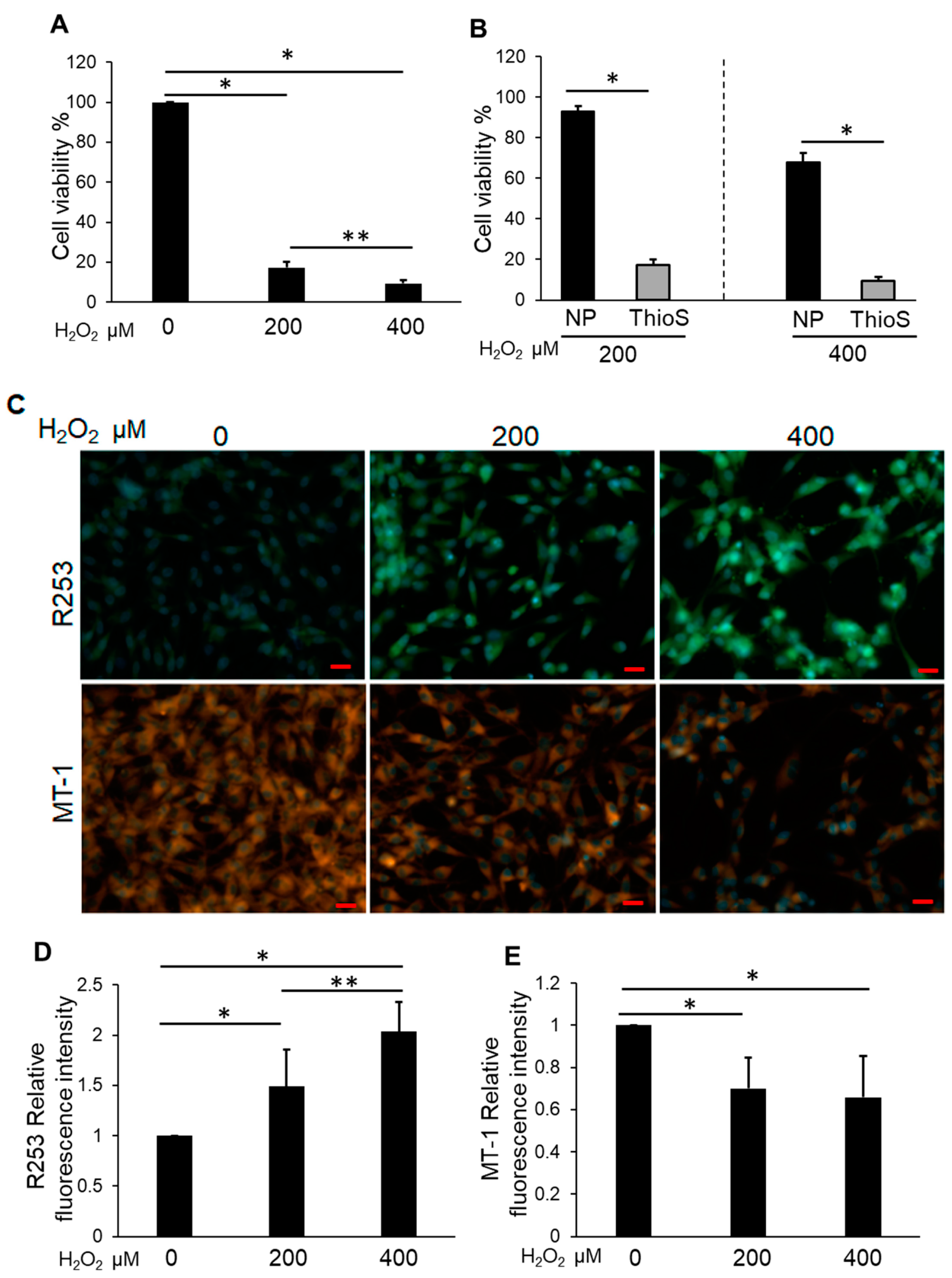 Biomedicines 11 00863 g005 Biomedicines 11 00863 g005