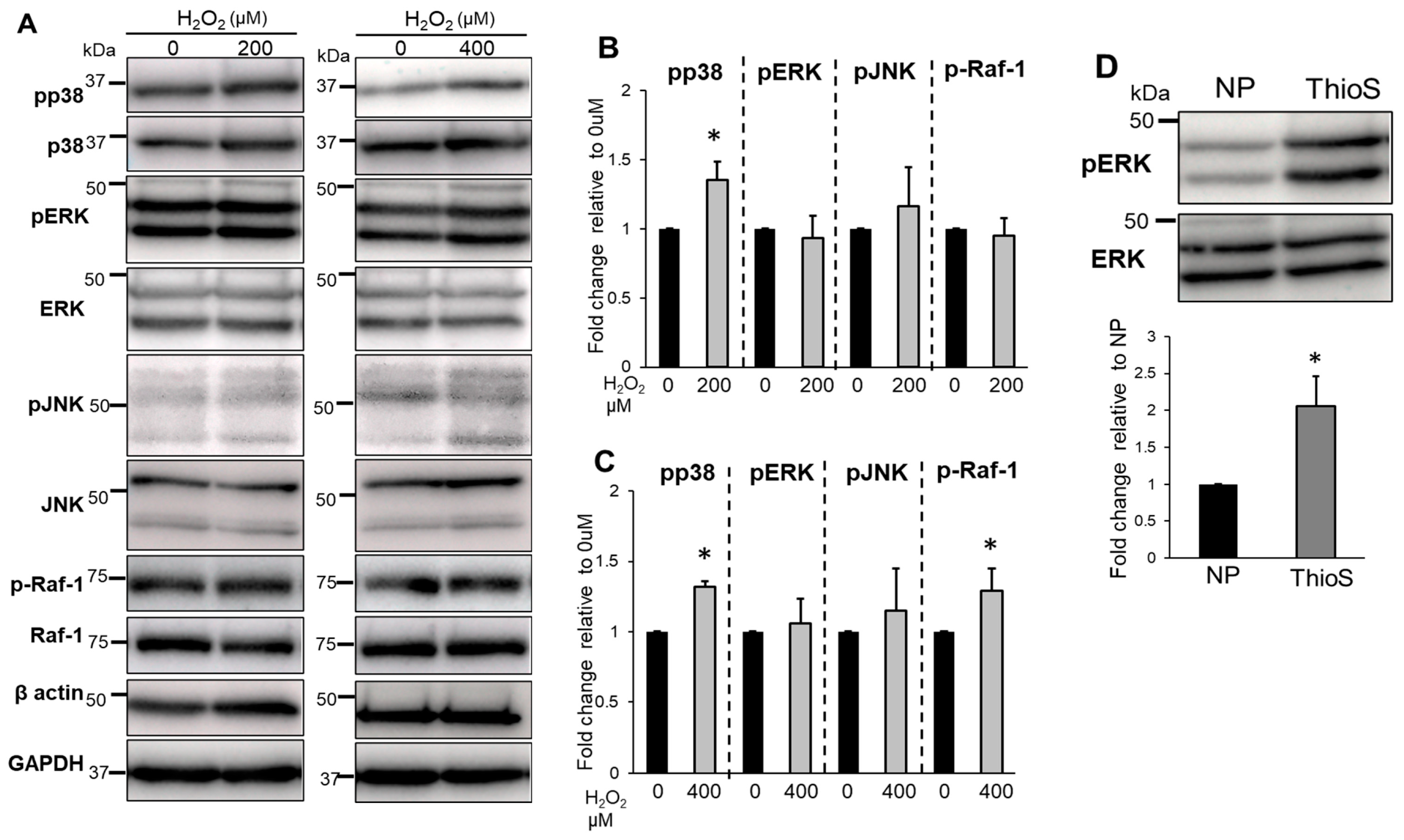 Biomedicines 11 00863 g008 Biomedicines 11 00863 g008
