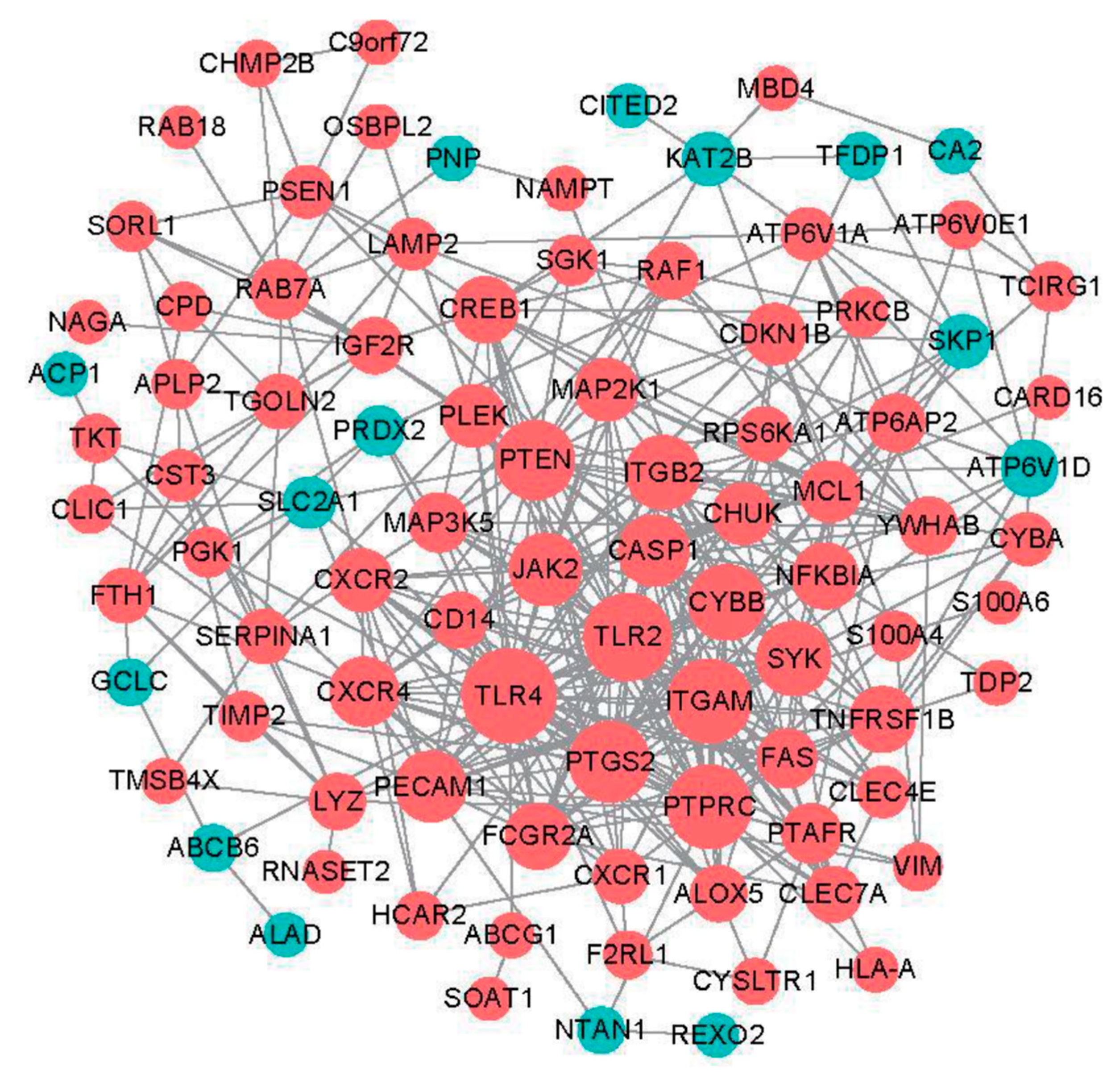 Biomedicines 11 00873 g005