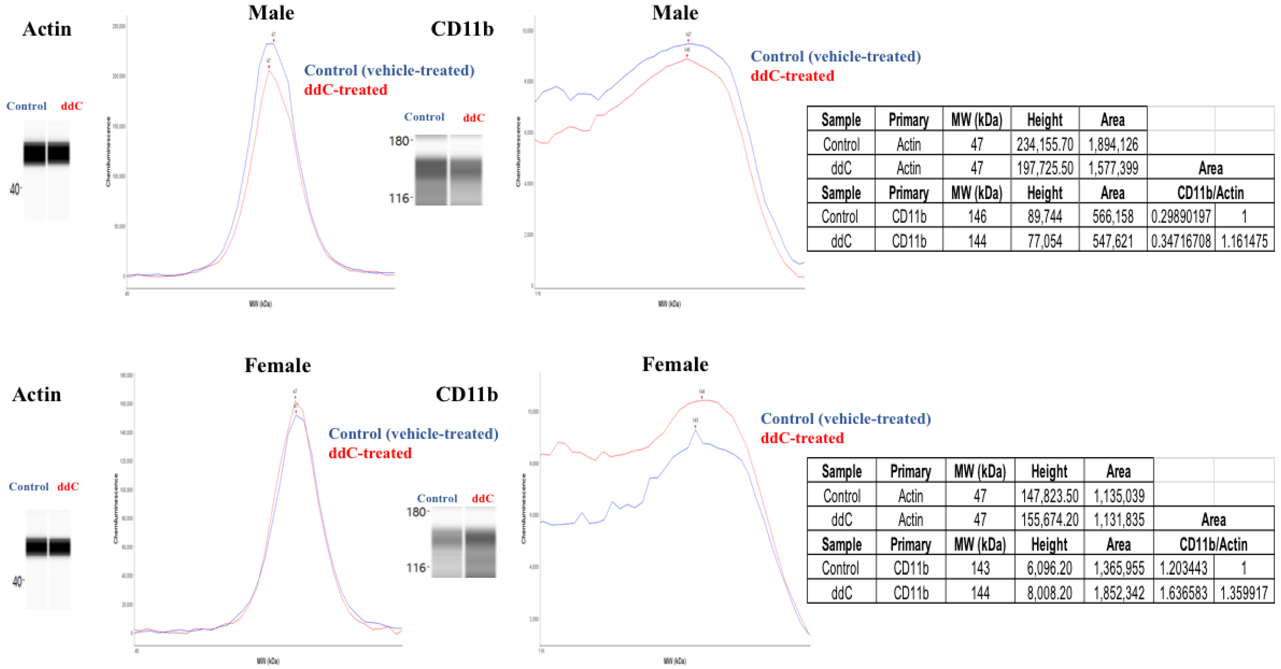Biomedicines 11 00875 g001 Biomedicines 11 00875 g001