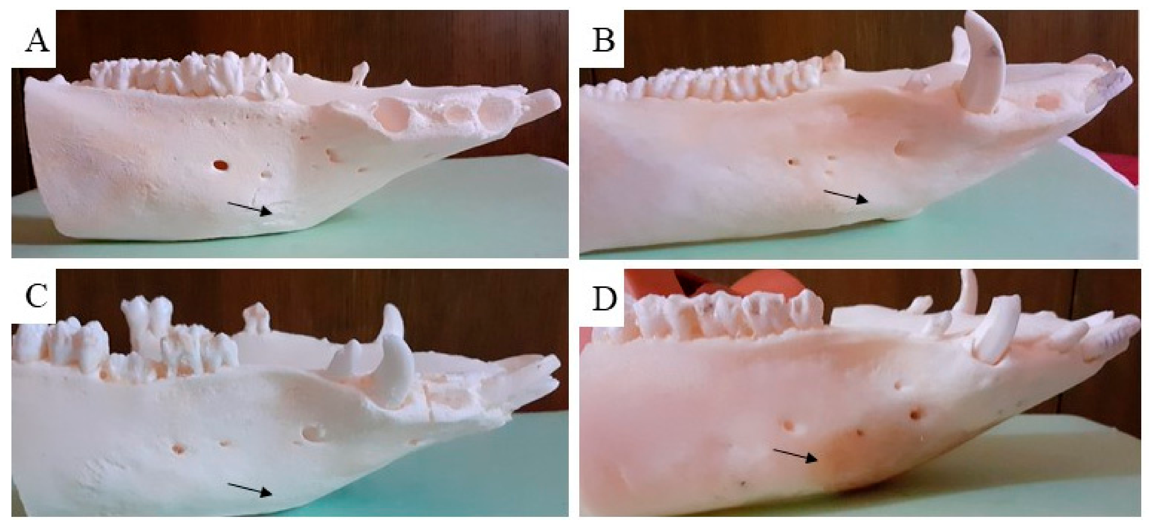 Biomedicines 11 00877 g007 Biomedicines 11 00877 g007