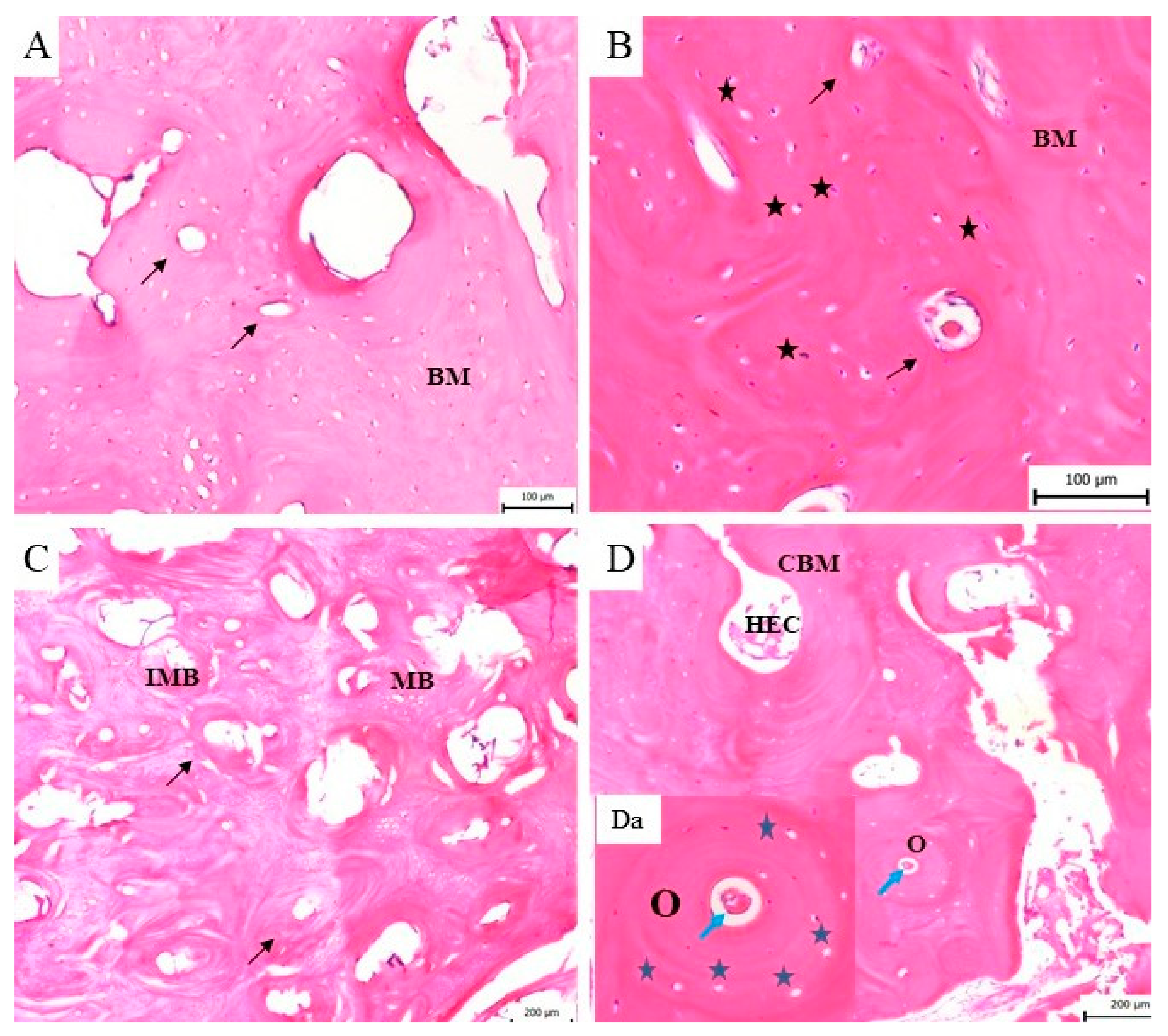 Biomedicines 11 00877 g009 Biomedicines 11 00877 g009