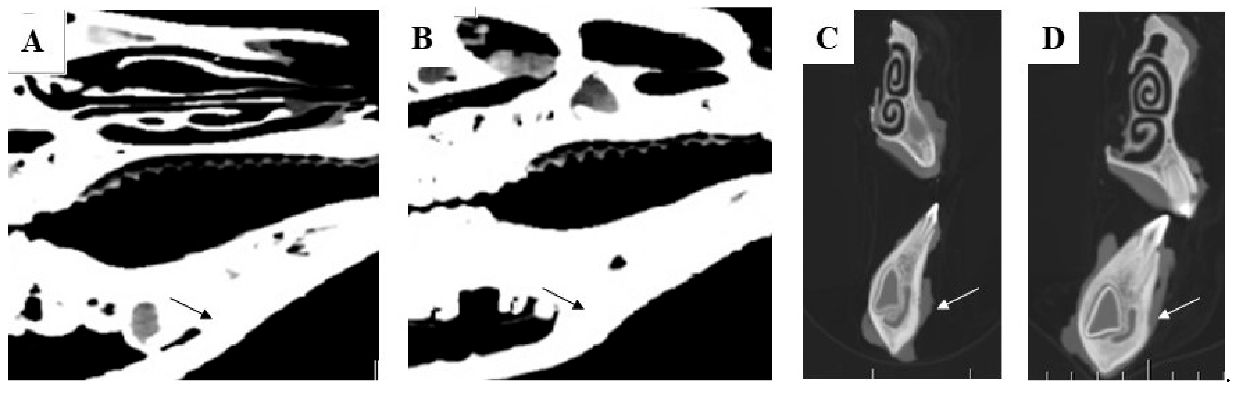 Biomedicines 11 00877 g012 Biomedicines 11 00877 g012