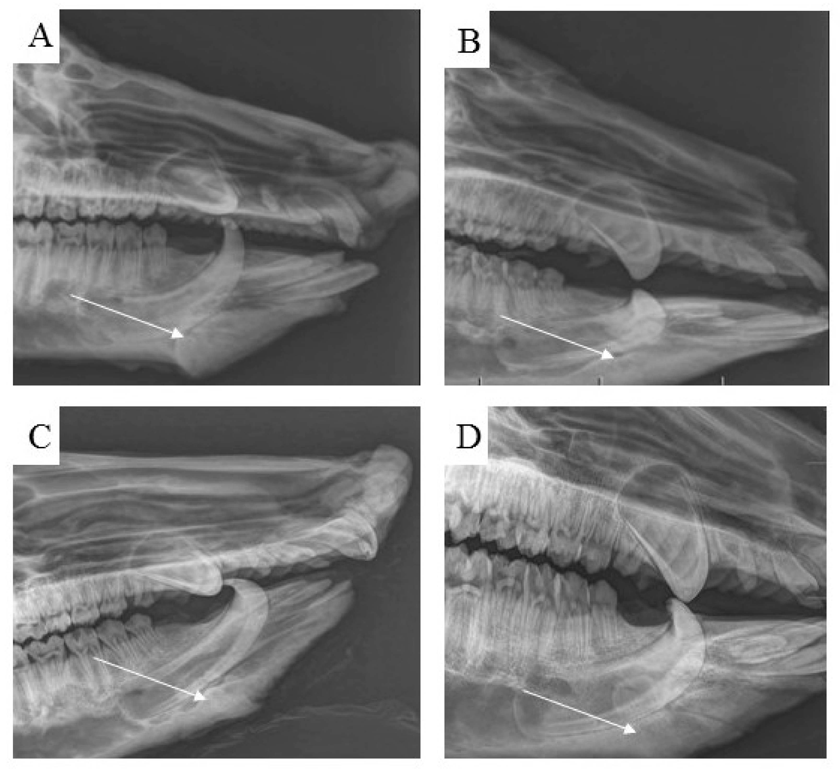Biomedicines 11 00877 g013 Biomedicines 11 00877 g013