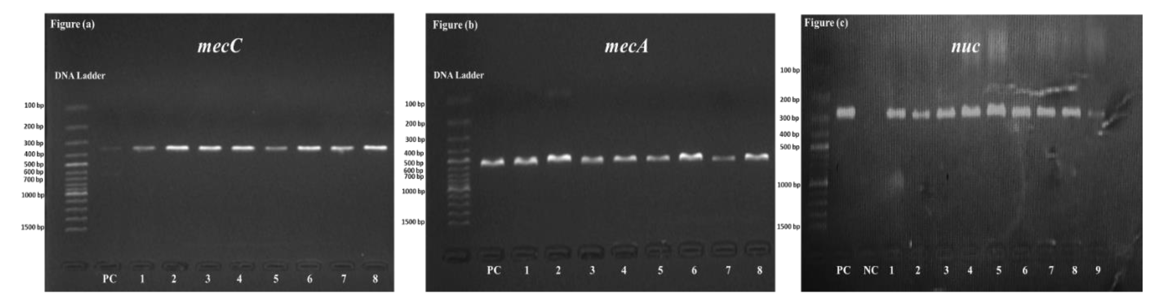 Biomedicines 11 00878 g003 Biomedicines 11 00878 g003