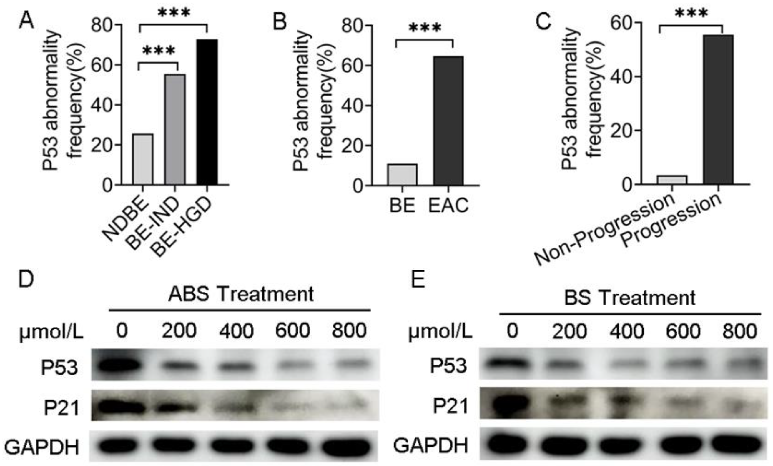 Biomedicines 11 00882 g001 Biomedicines 11 00882 g001