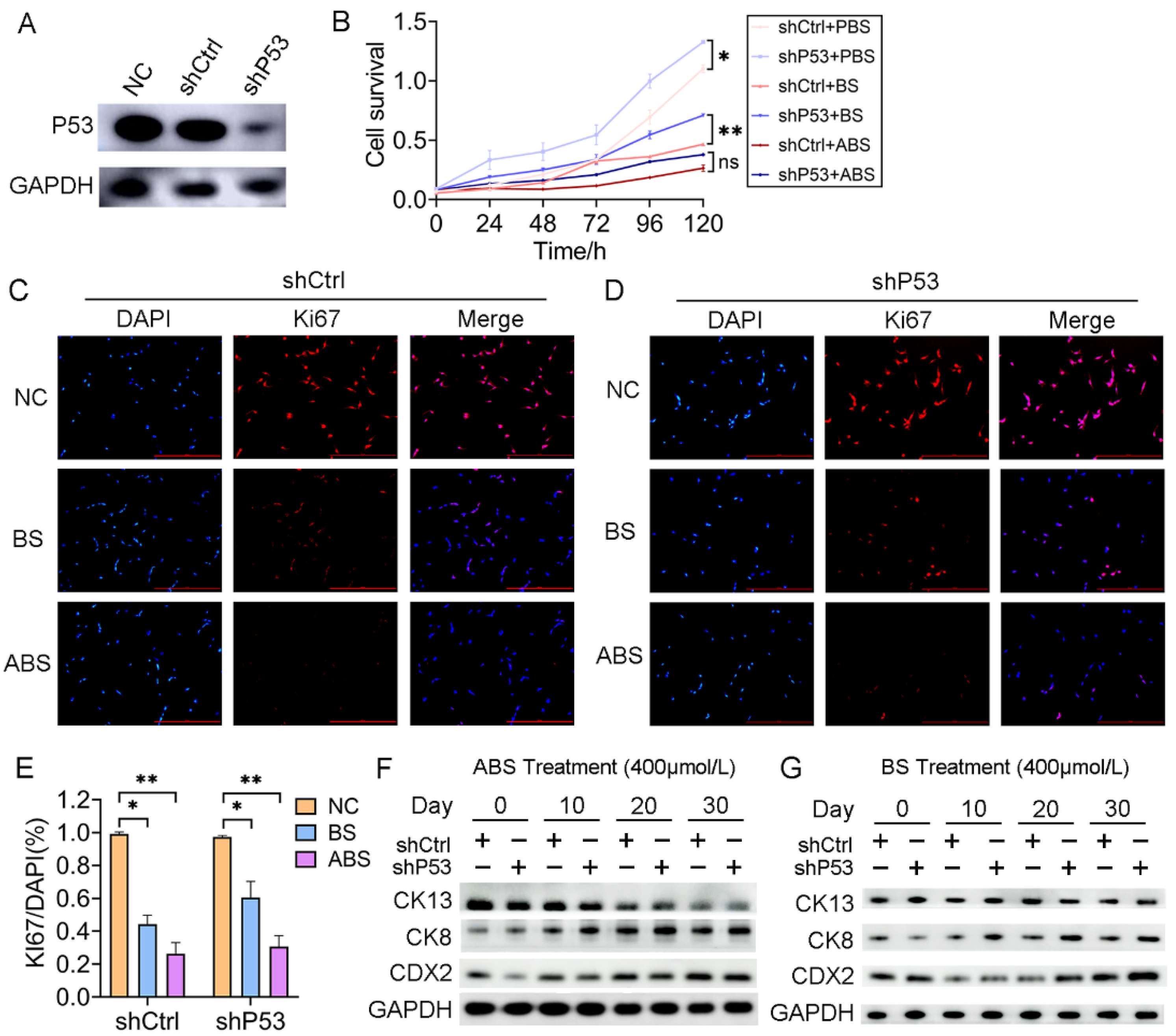 Biomedicines 11 00882 g002 Biomedicines 11 00882 g002