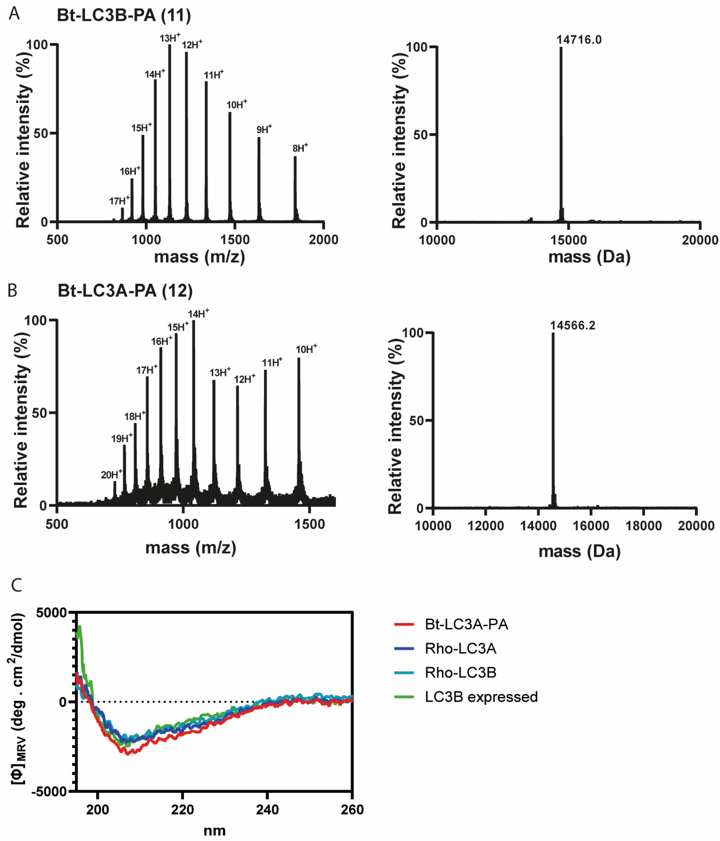 Biomedicines 11 00884 g003