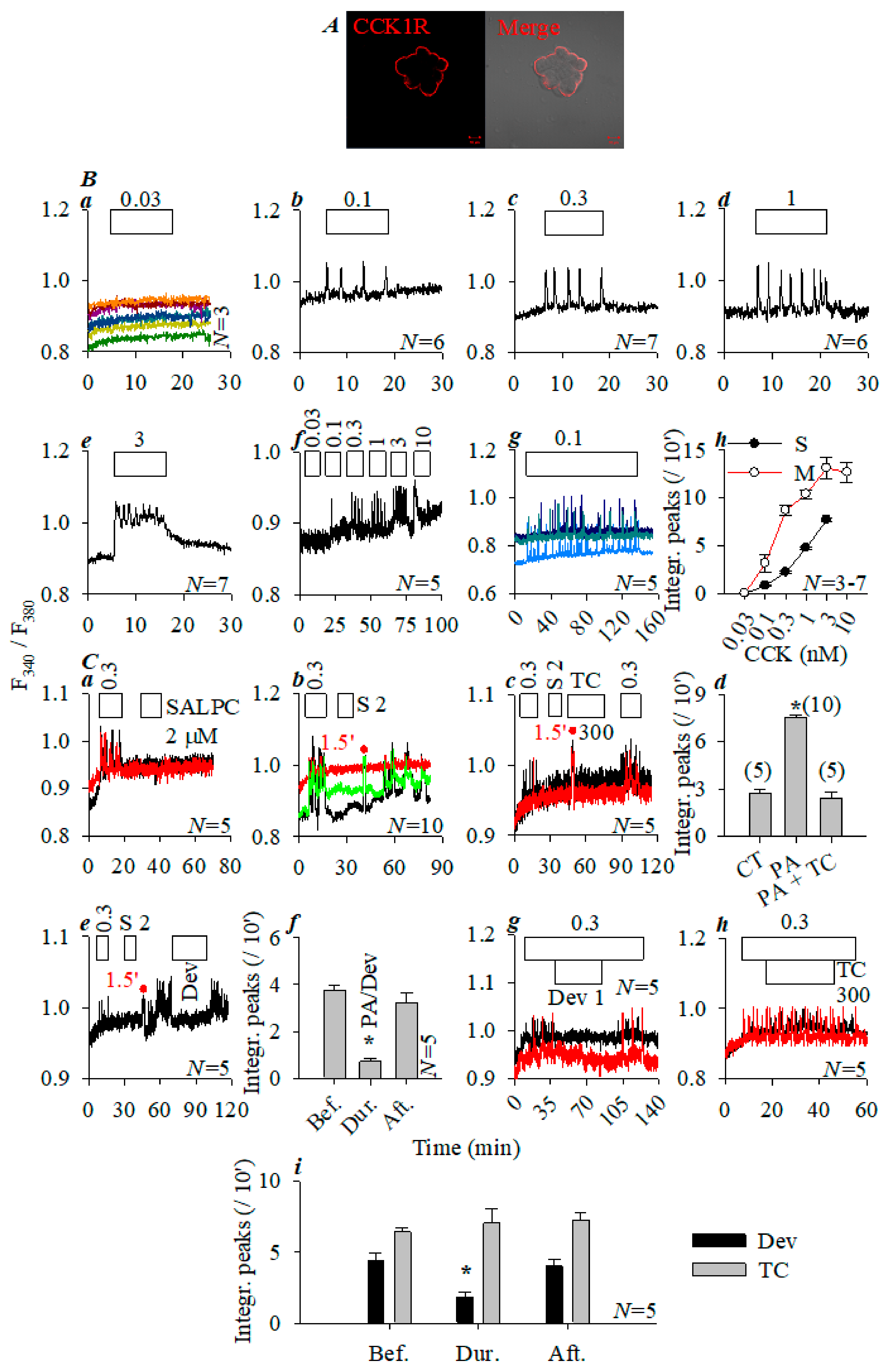 Biomedicines 11 00885 g002