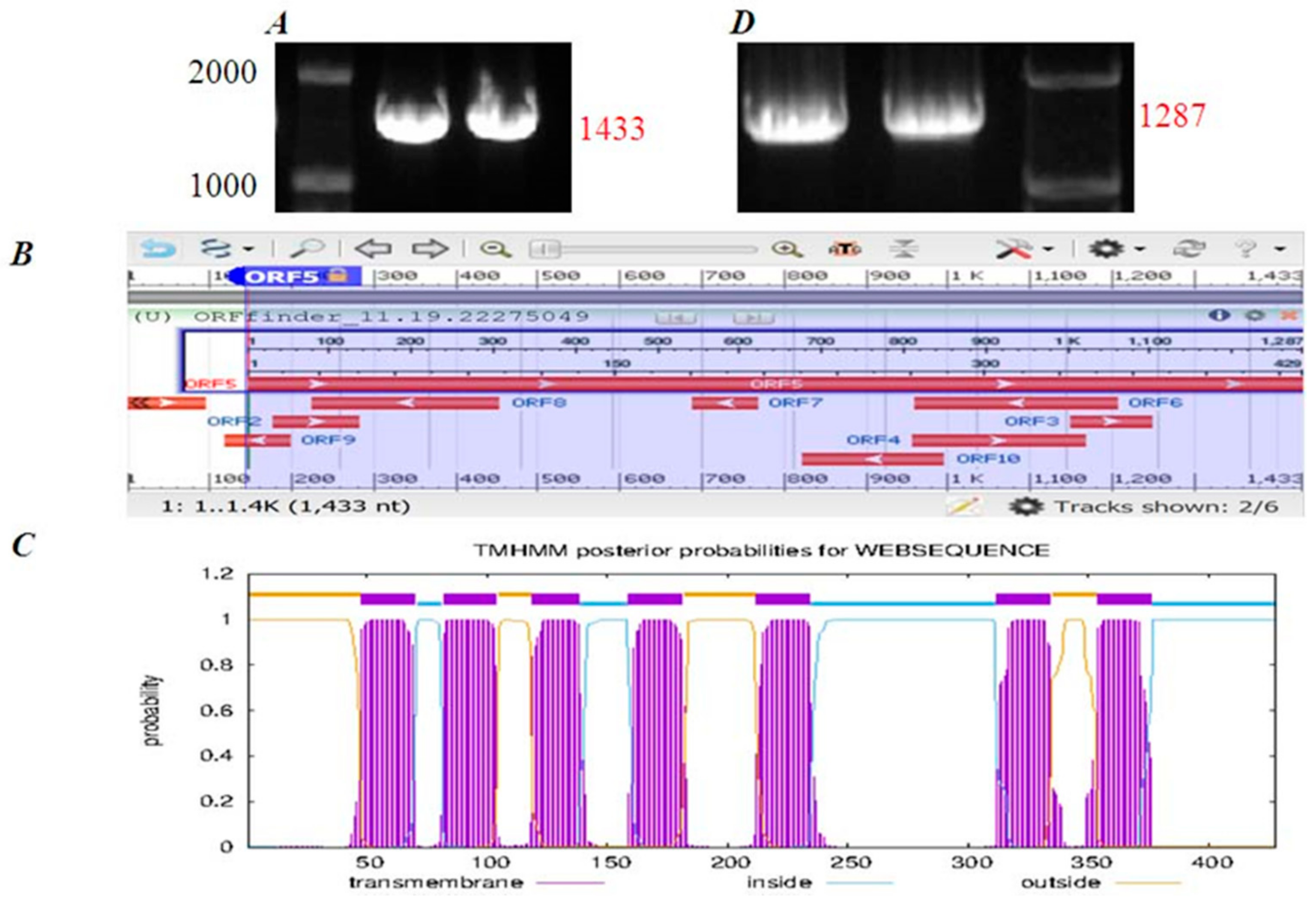 Biomedicines 11 00885 g004