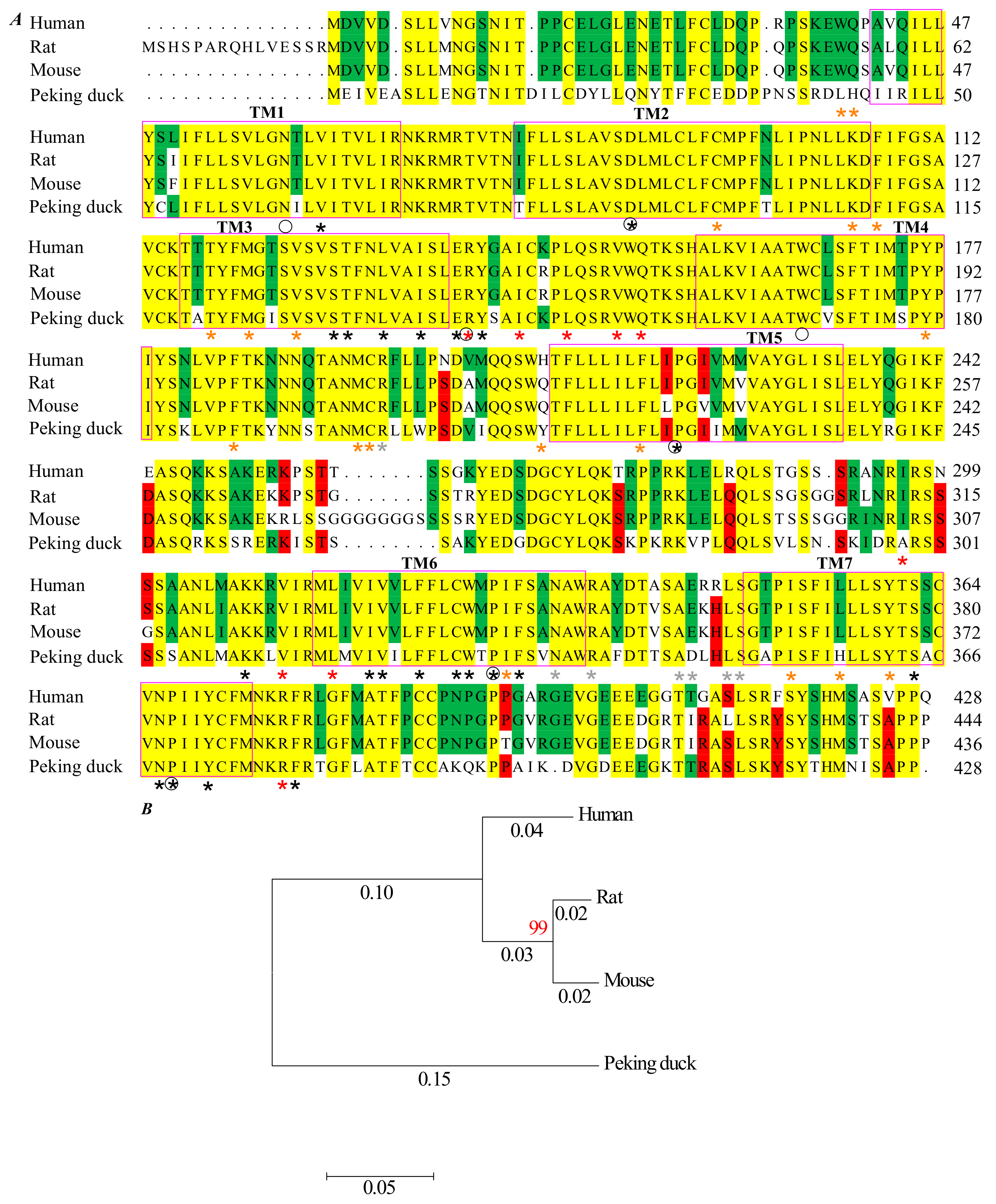 Biomedicines 11 00885 g005