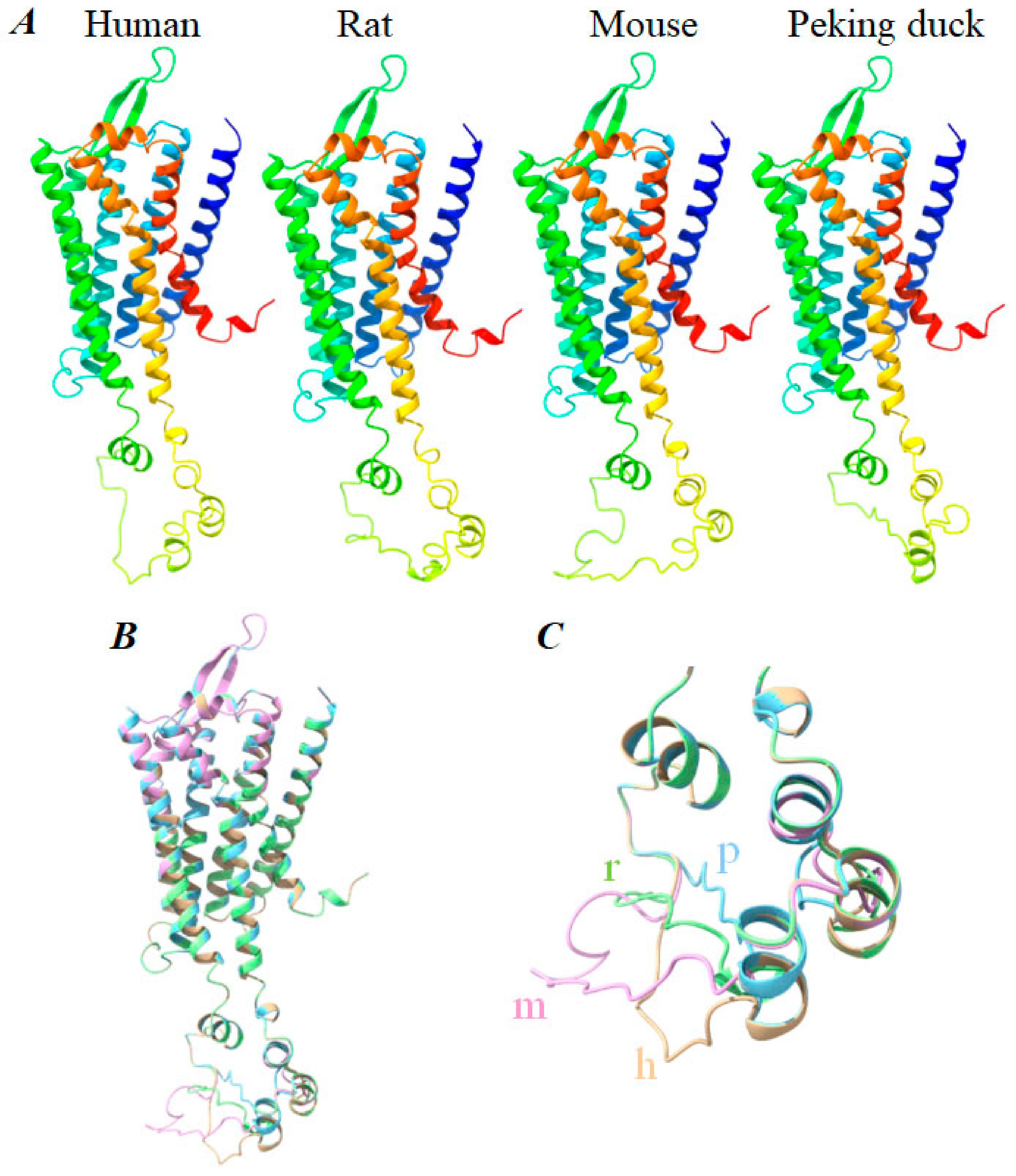 Biomedicines 11 00885 g006
