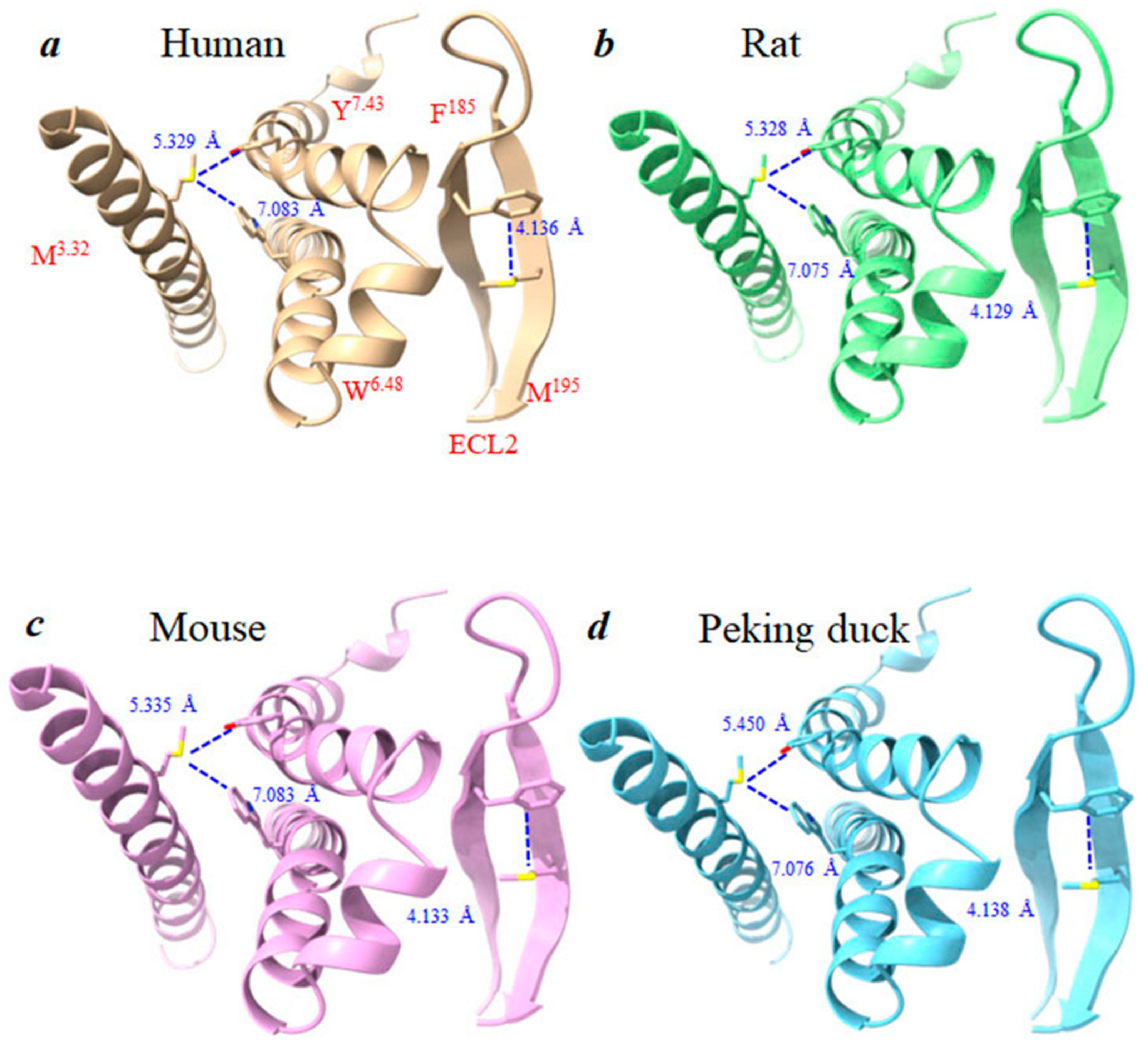 Biomedicines 11 00885 g007