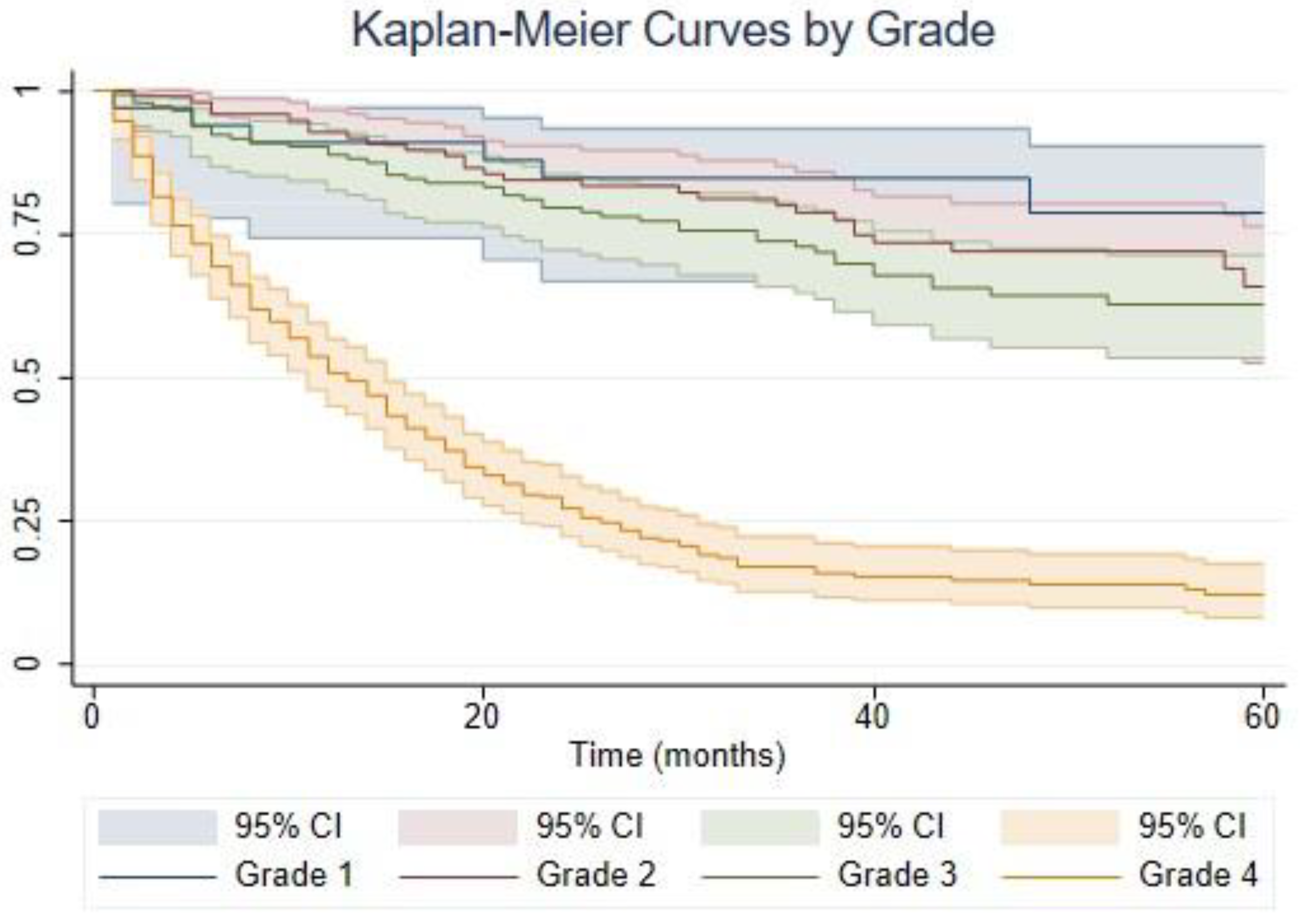 Biomedicines 11 00886 g001