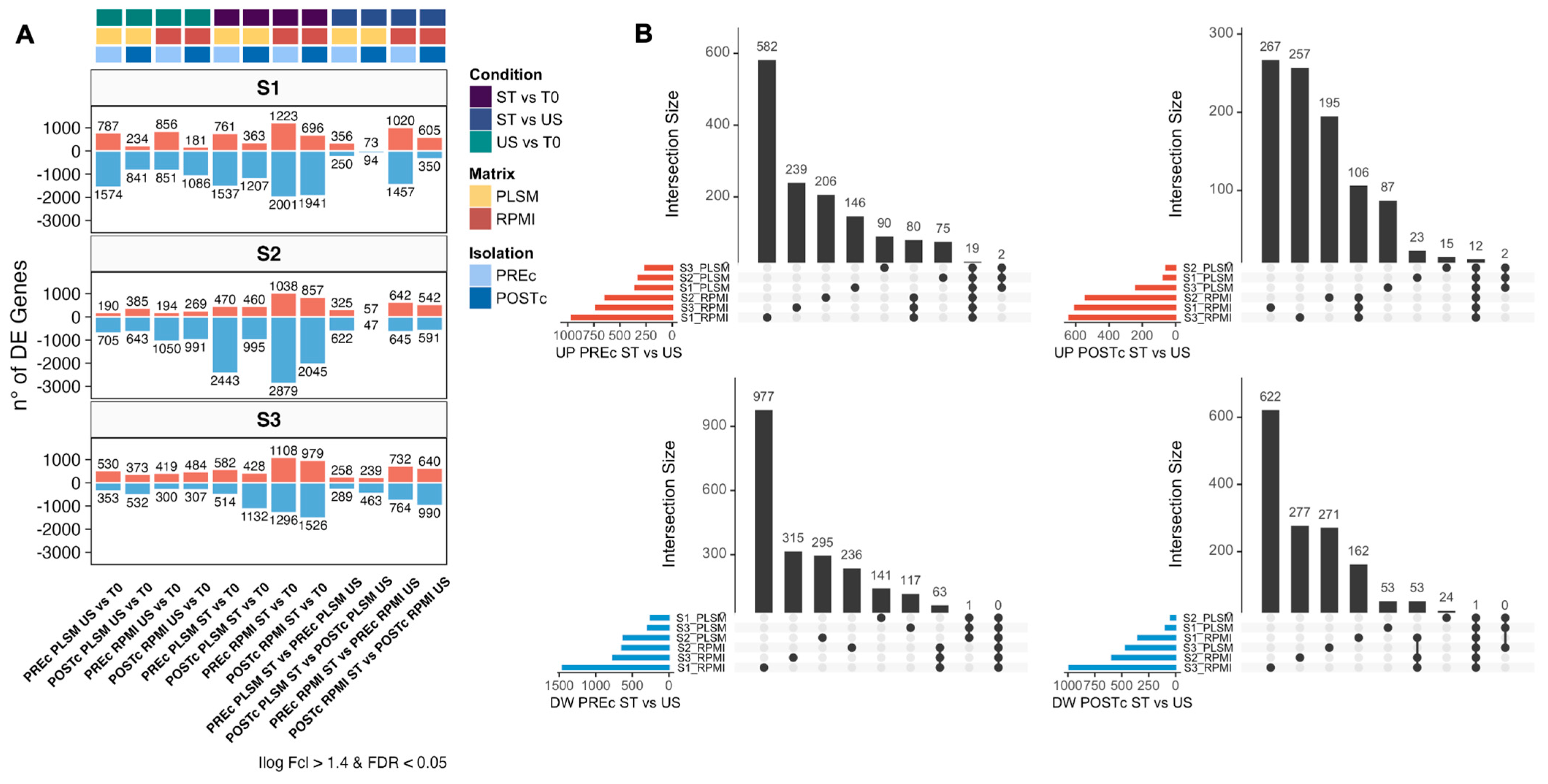 Biomedicines 11 00888 g003 Biomedicines 11 00888 g003