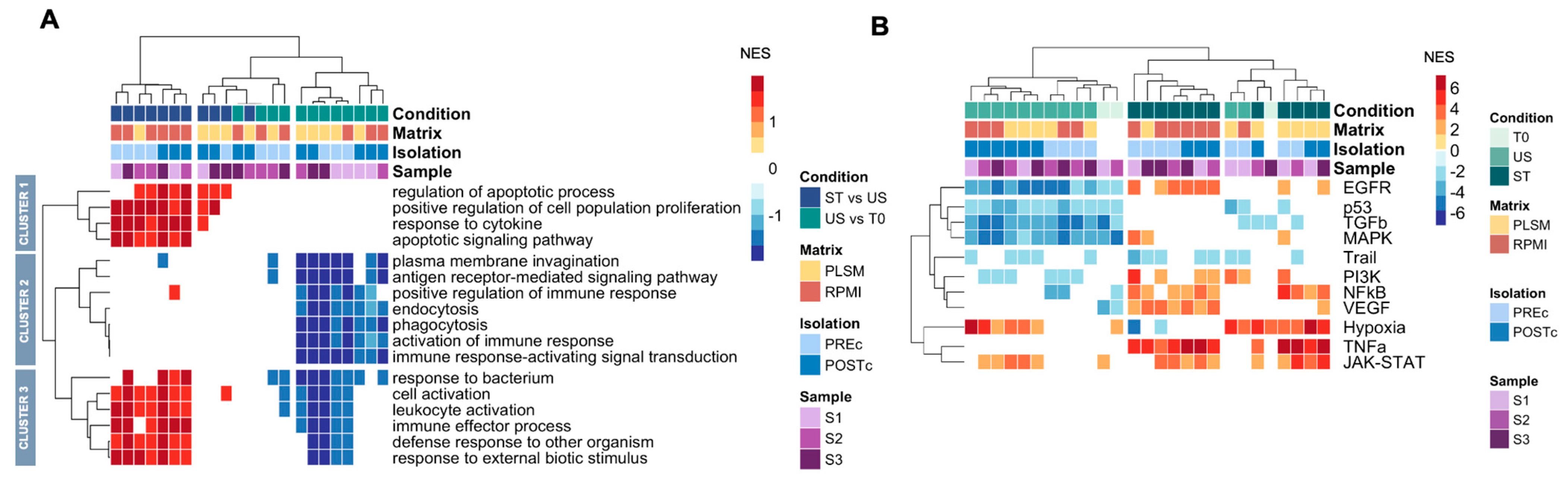 Biomedicines 11 00888 g004 Biomedicines 11 00888 g004