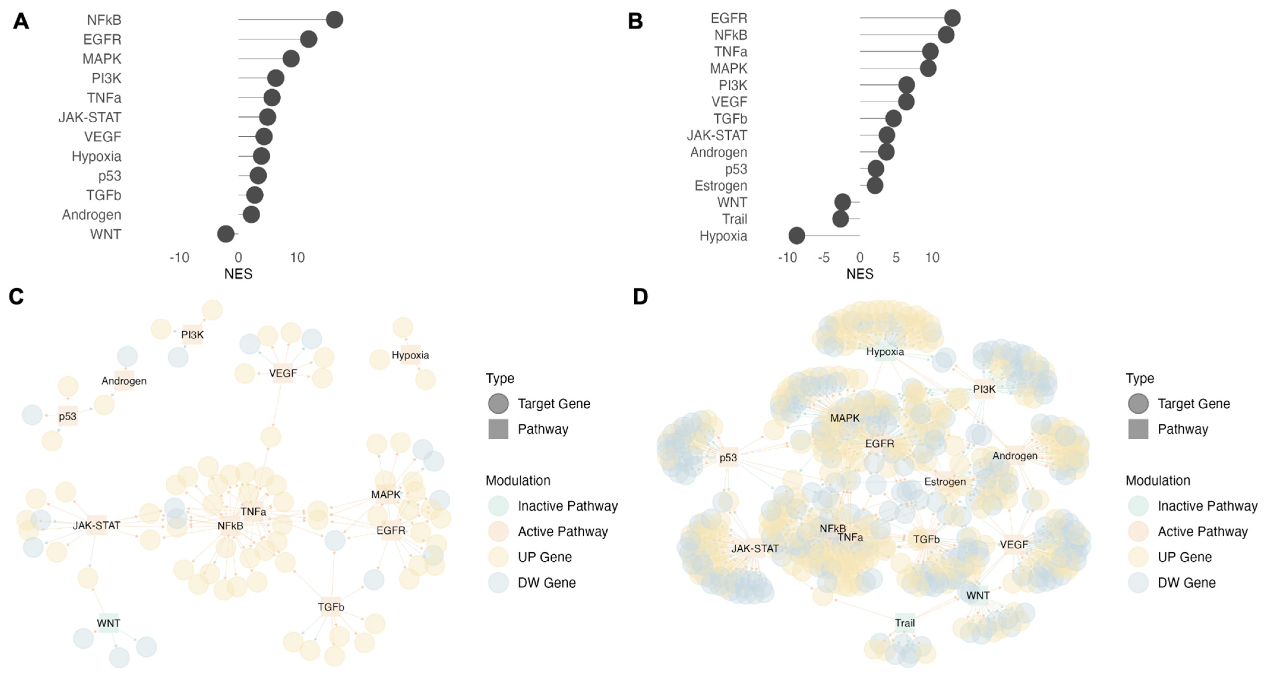 Biomedicines 11 00888 g005 Biomedicines 11 00888 g005