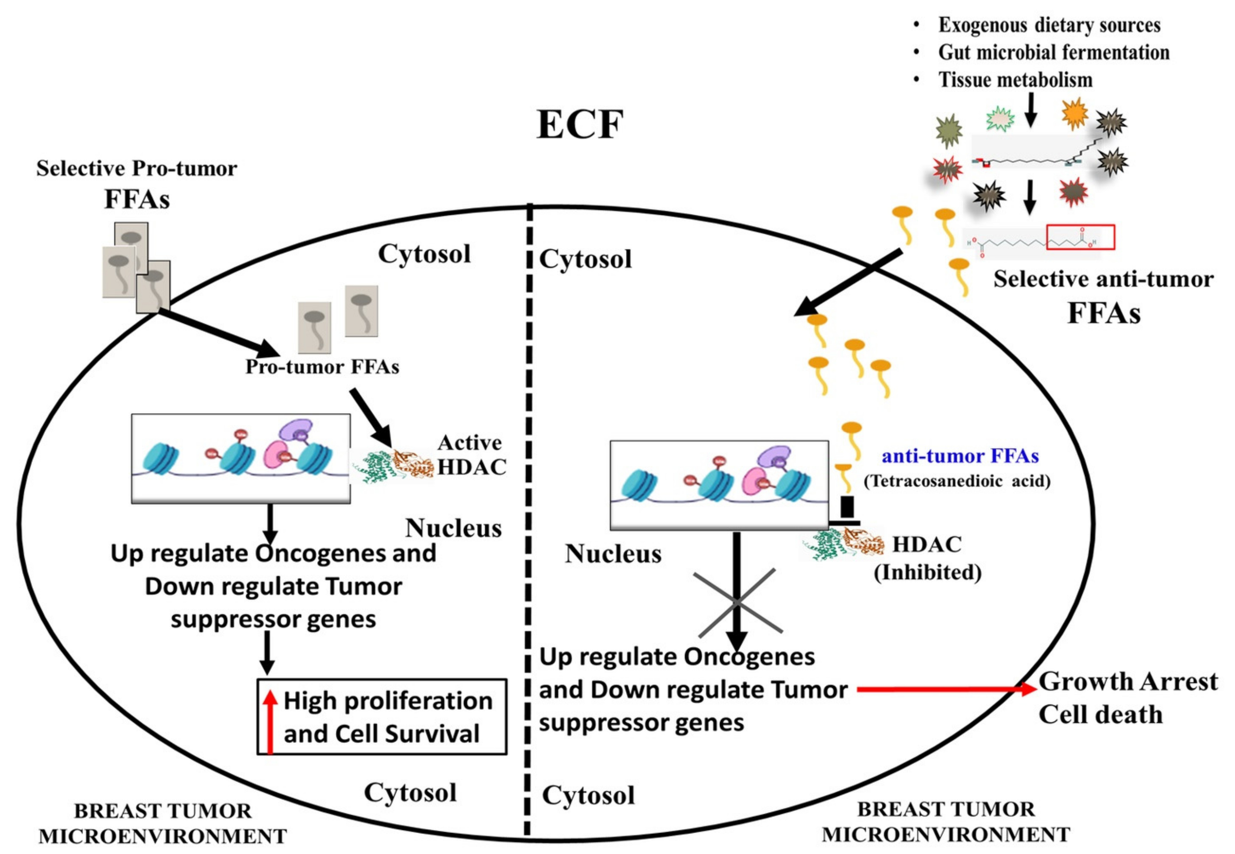 Biomedicines 11 00889 g011 Biomedicines 11 00889 g011