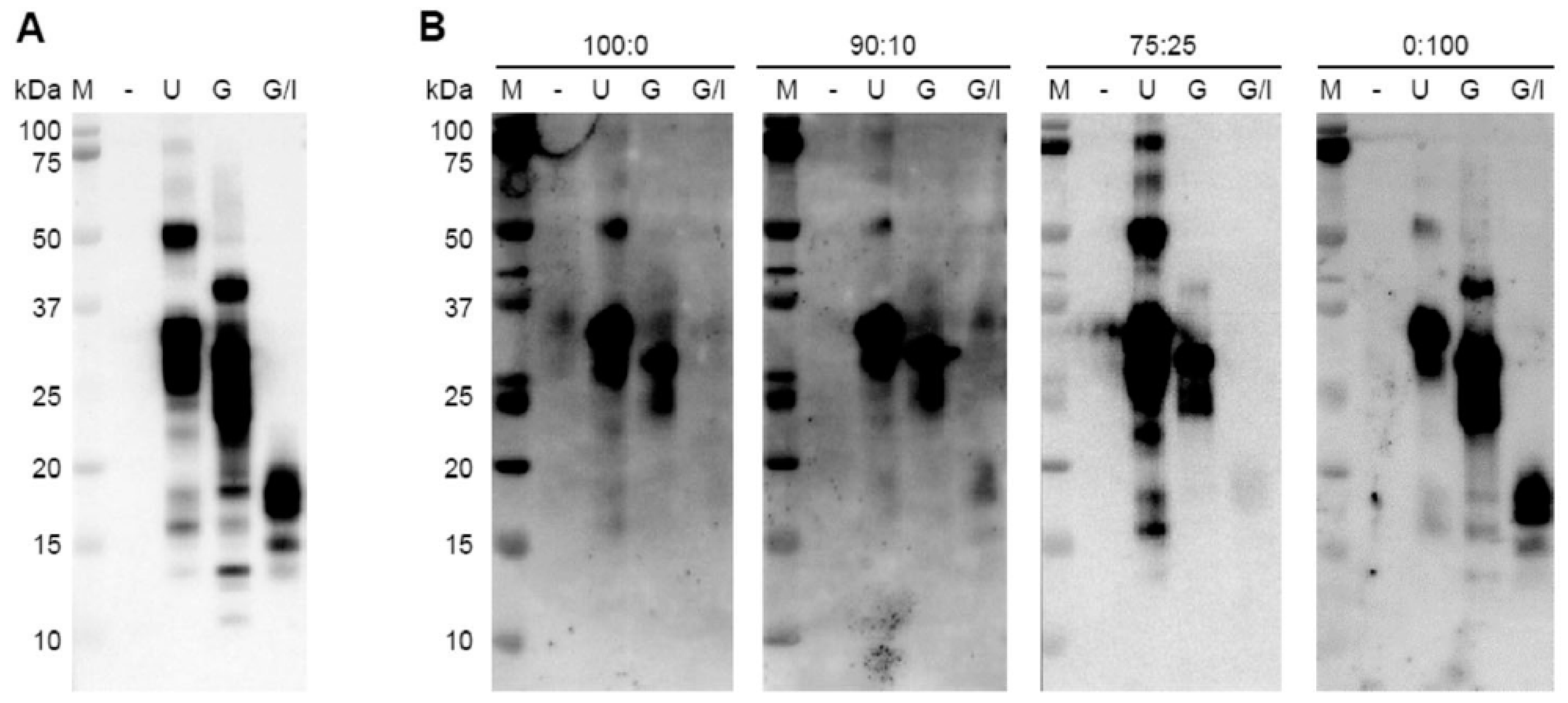Biomedicines 11 00893 g005