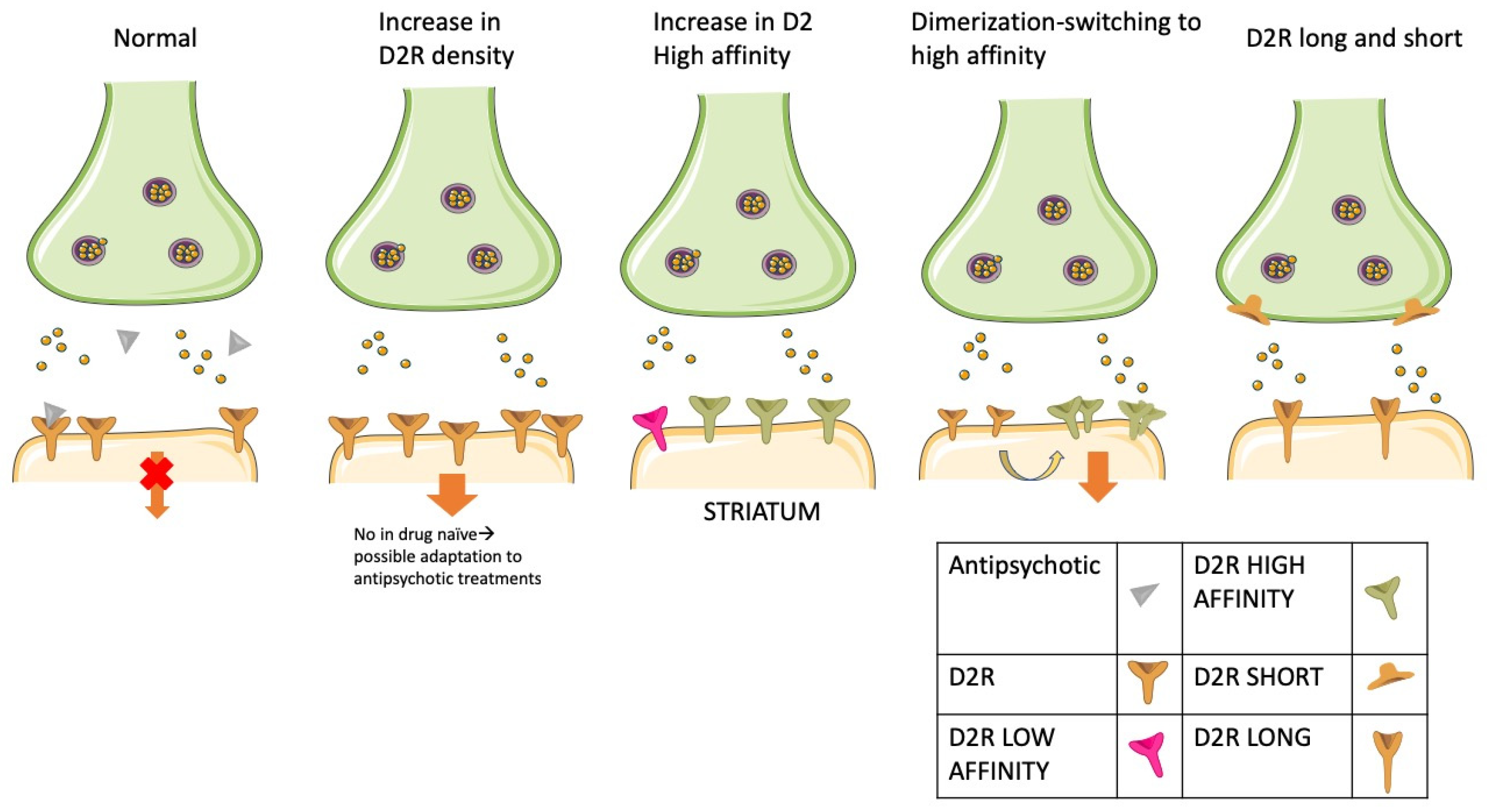 Biomedicines 11 00895 g002 Biomedicines 11 00895 g002