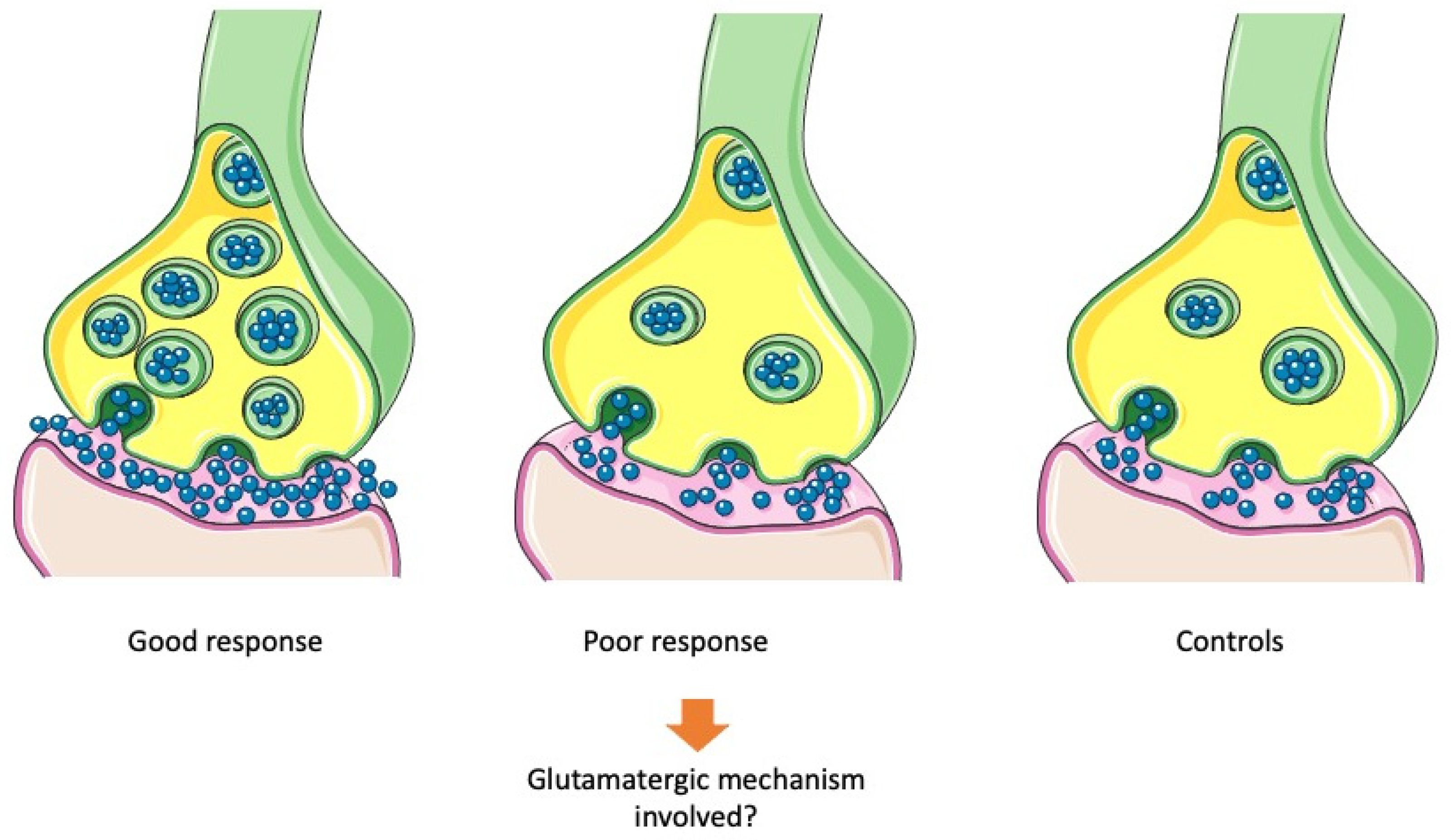 Biomedicines 11 00895 g006 Biomedicines 11 00895 g006