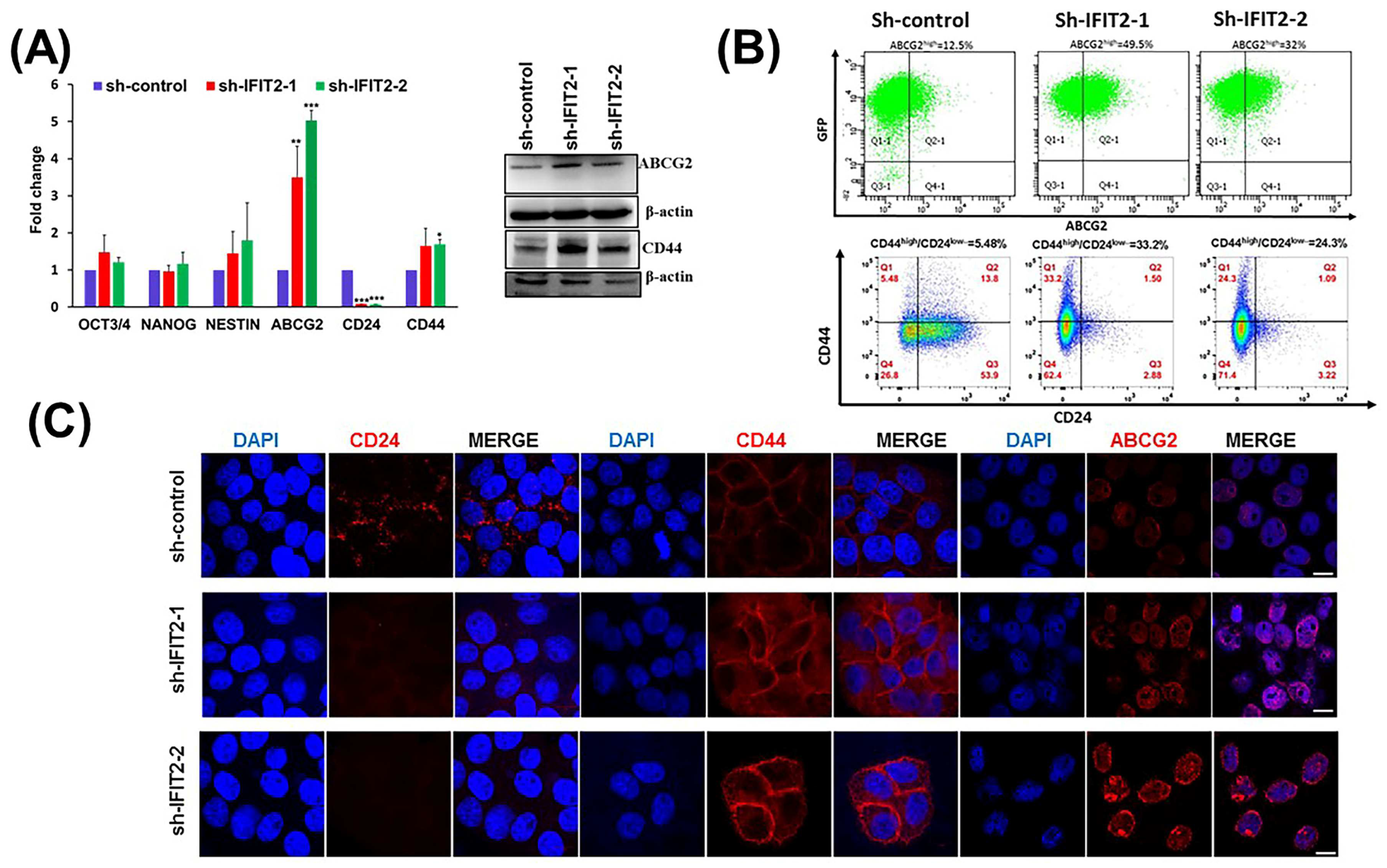 Biomedicines 11 00896 g002 Biomedicines 11 00896 g002