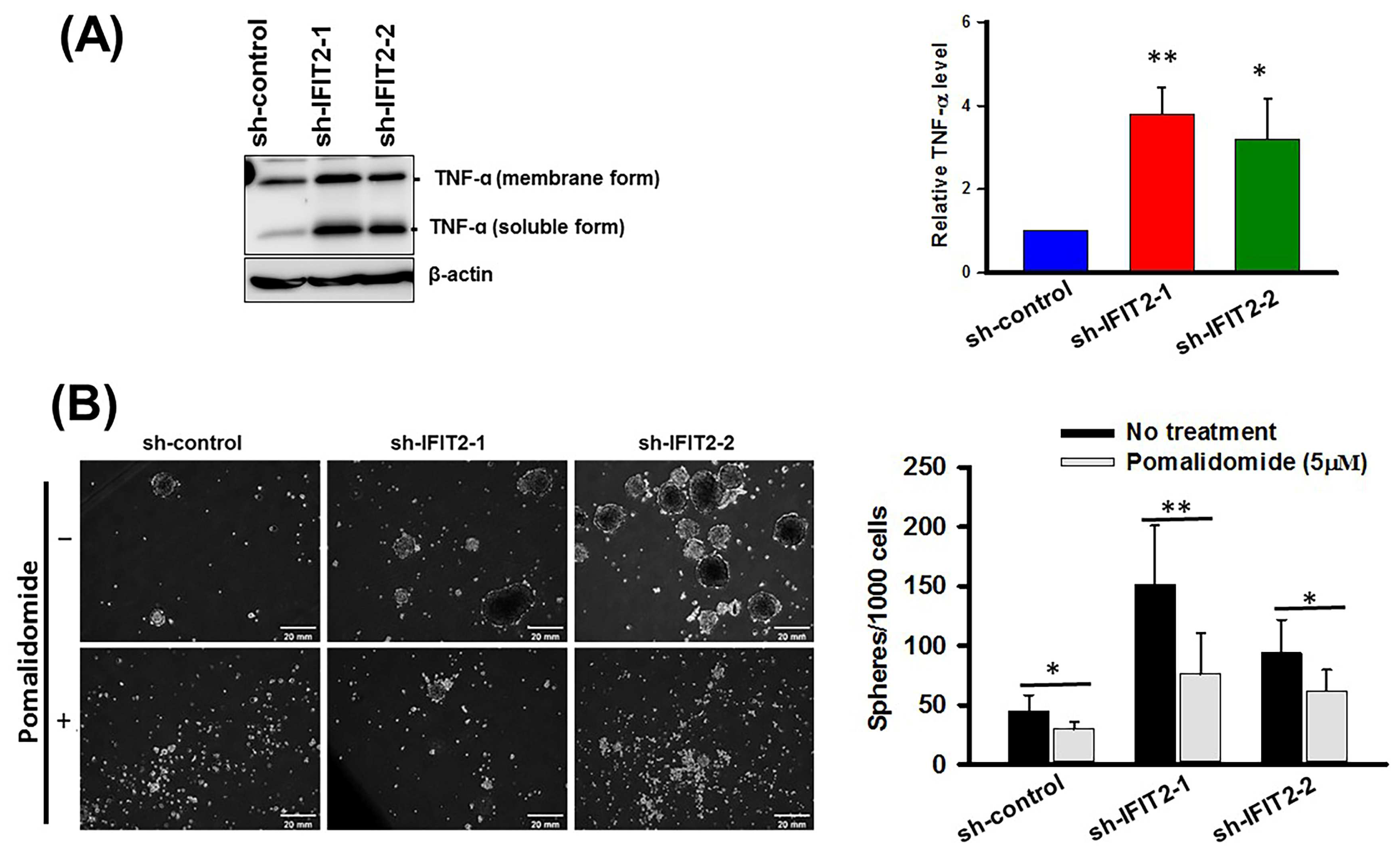 Biomedicines 11 00896 g005 Biomedicines 11 00896 g005