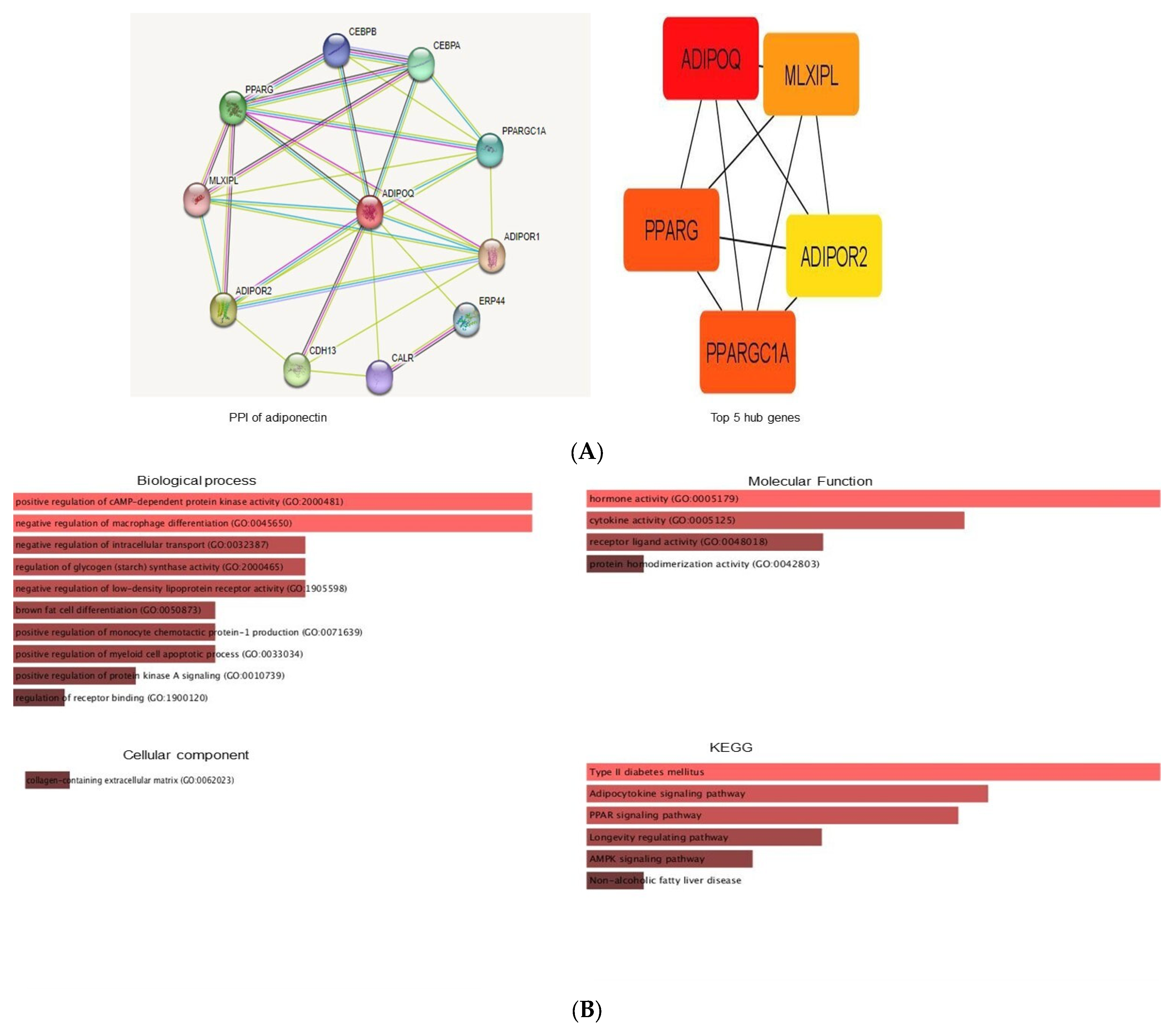 Biomedicines 11 00900 g006 Biomedicines 11 00900 g006