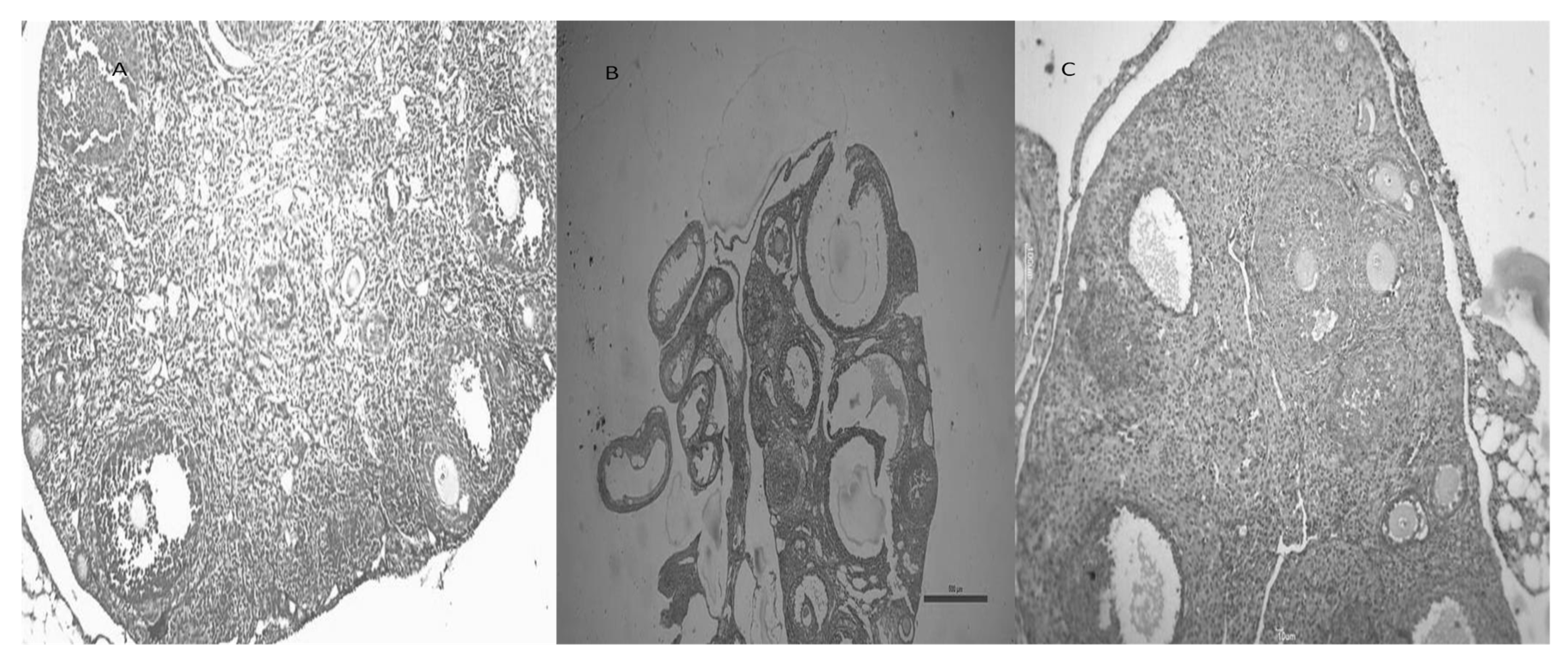 Biomedicines 11 00900 g007 Biomedicines 11 00900 g007