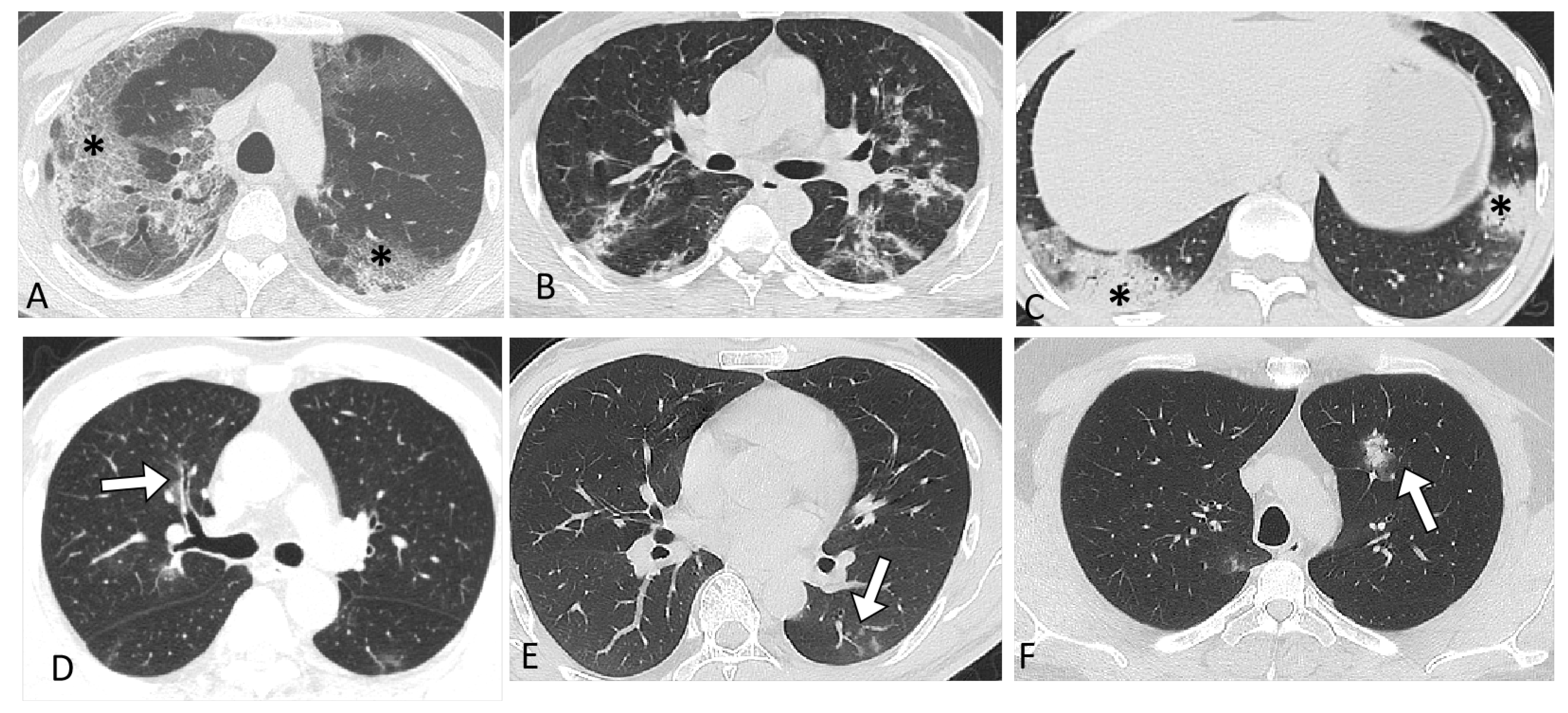 Biomedicines 11 00901 g002 Biomedicines 11 00901 g002