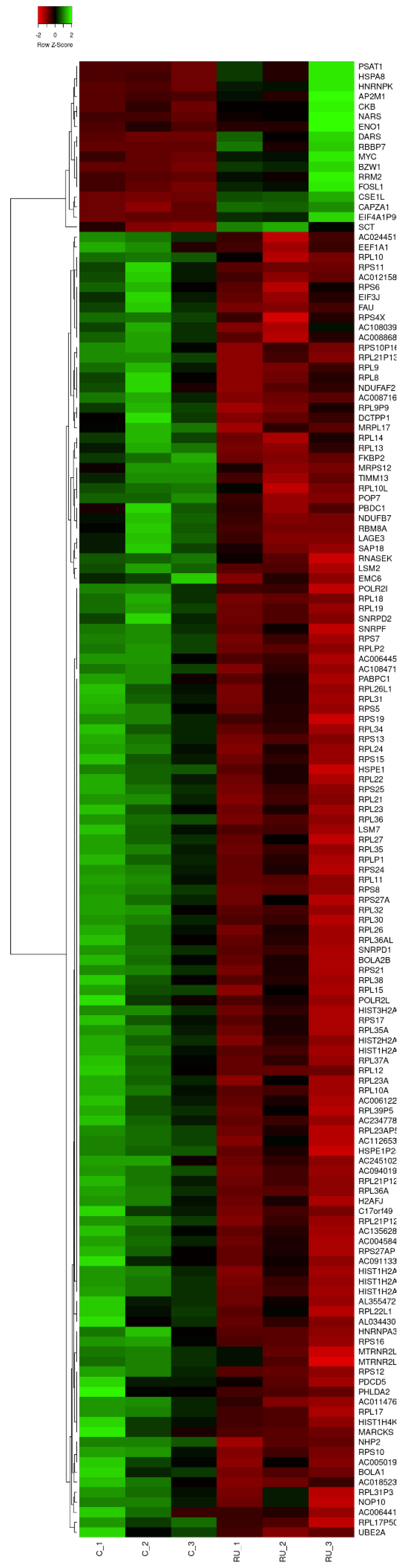 Biomedicines 11 00907 g002