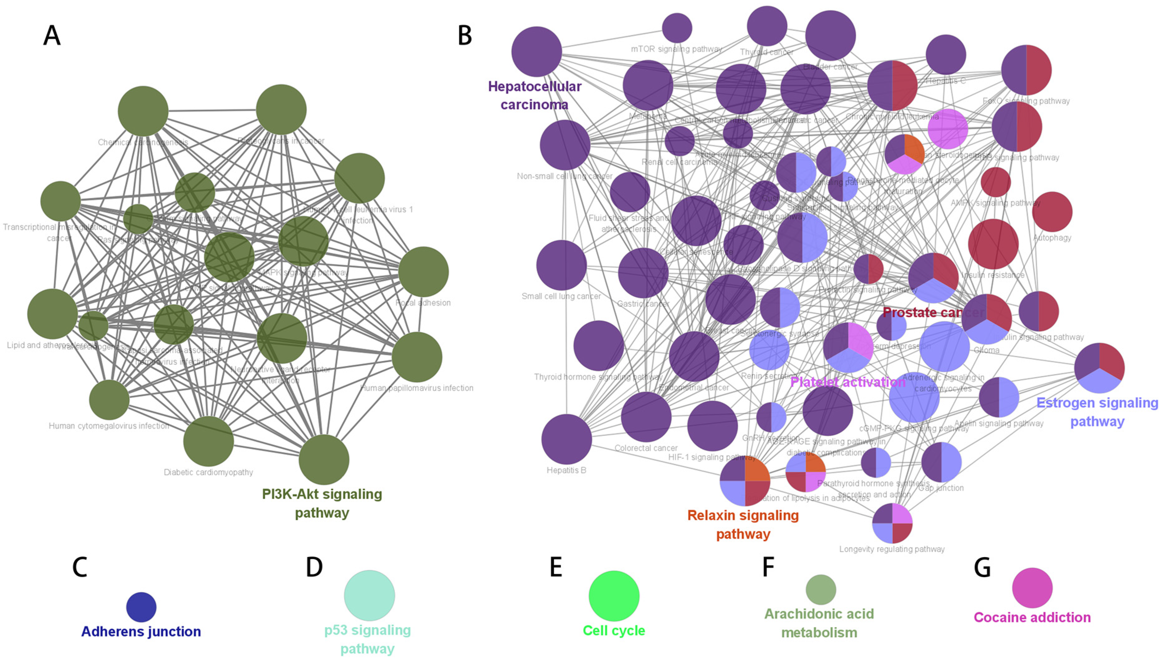 Biomedicines 11 00908 g004 Biomedicines 11 00908 g004
