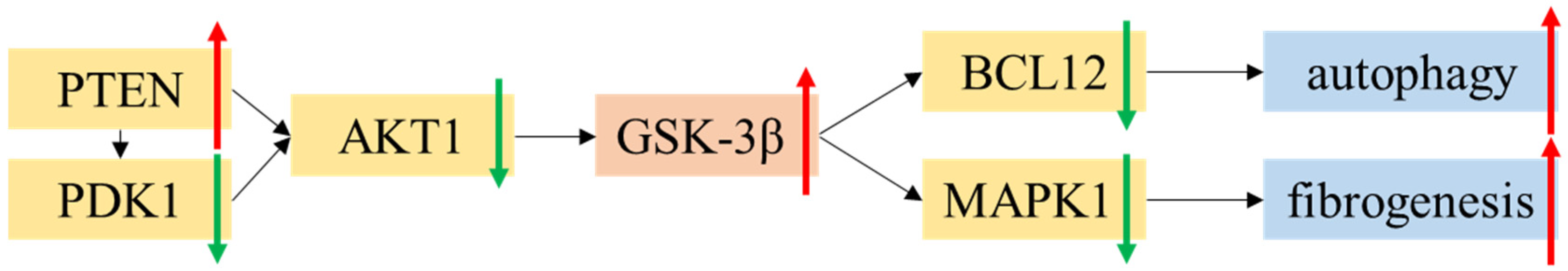Biomedicines 11 00908 g007 Biomedicines 11 00908 g007