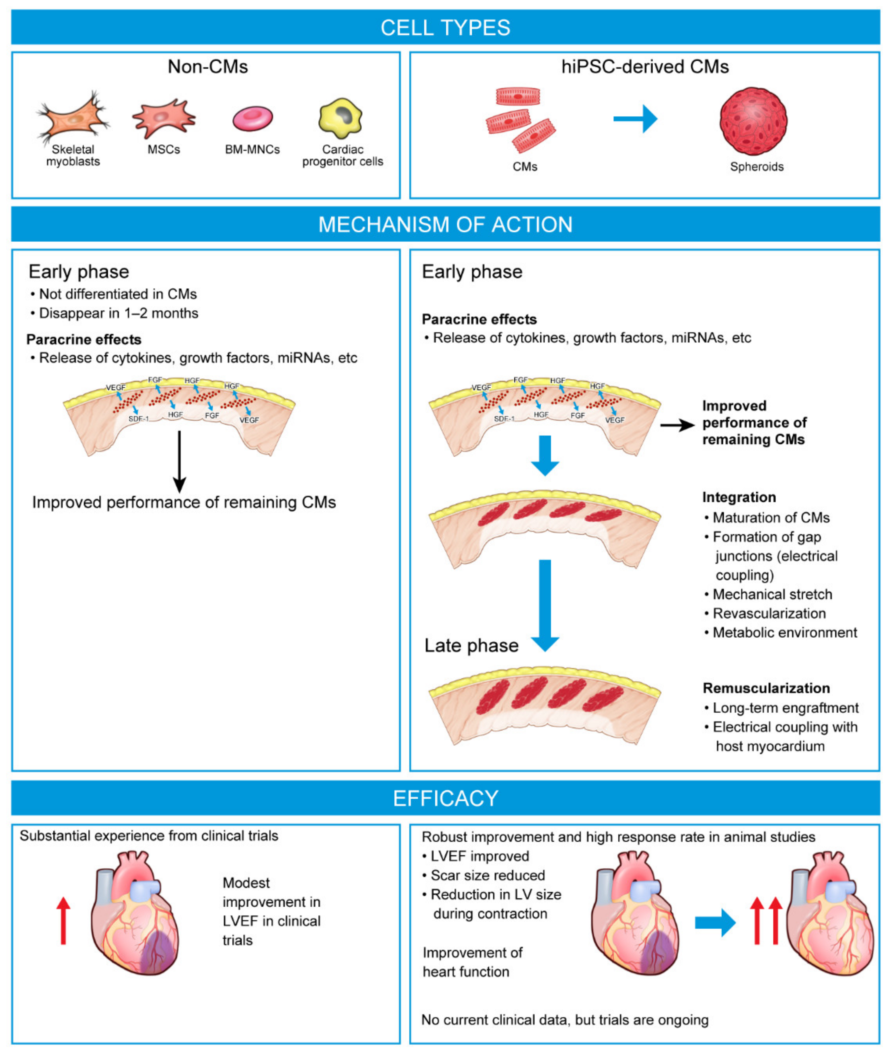 Biomedicines 11 00915 g001 Biomedicines 11 00915 g001
