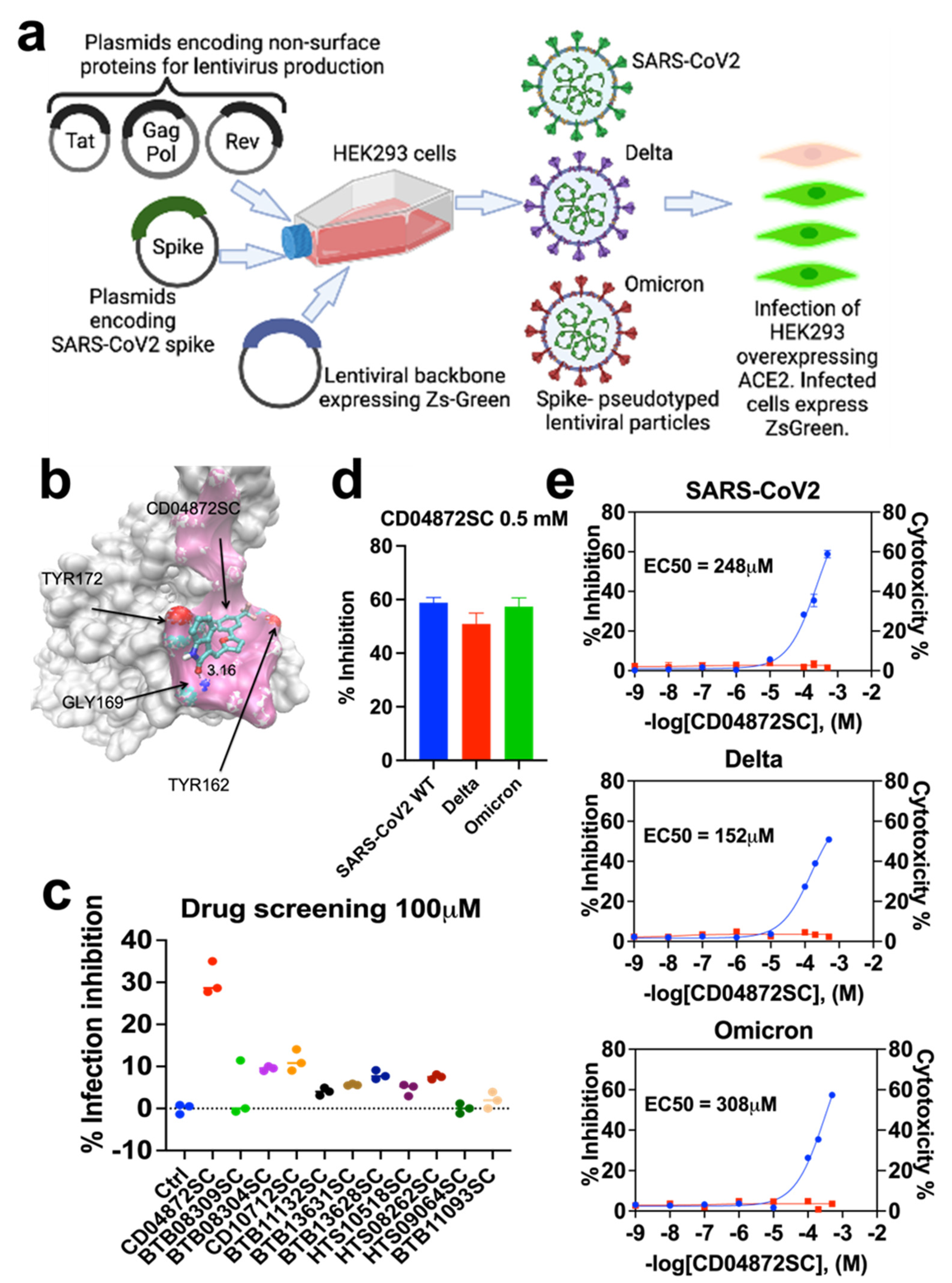 Biomedicines 11 00916 g001 Biomedicines 11 00916 g001
