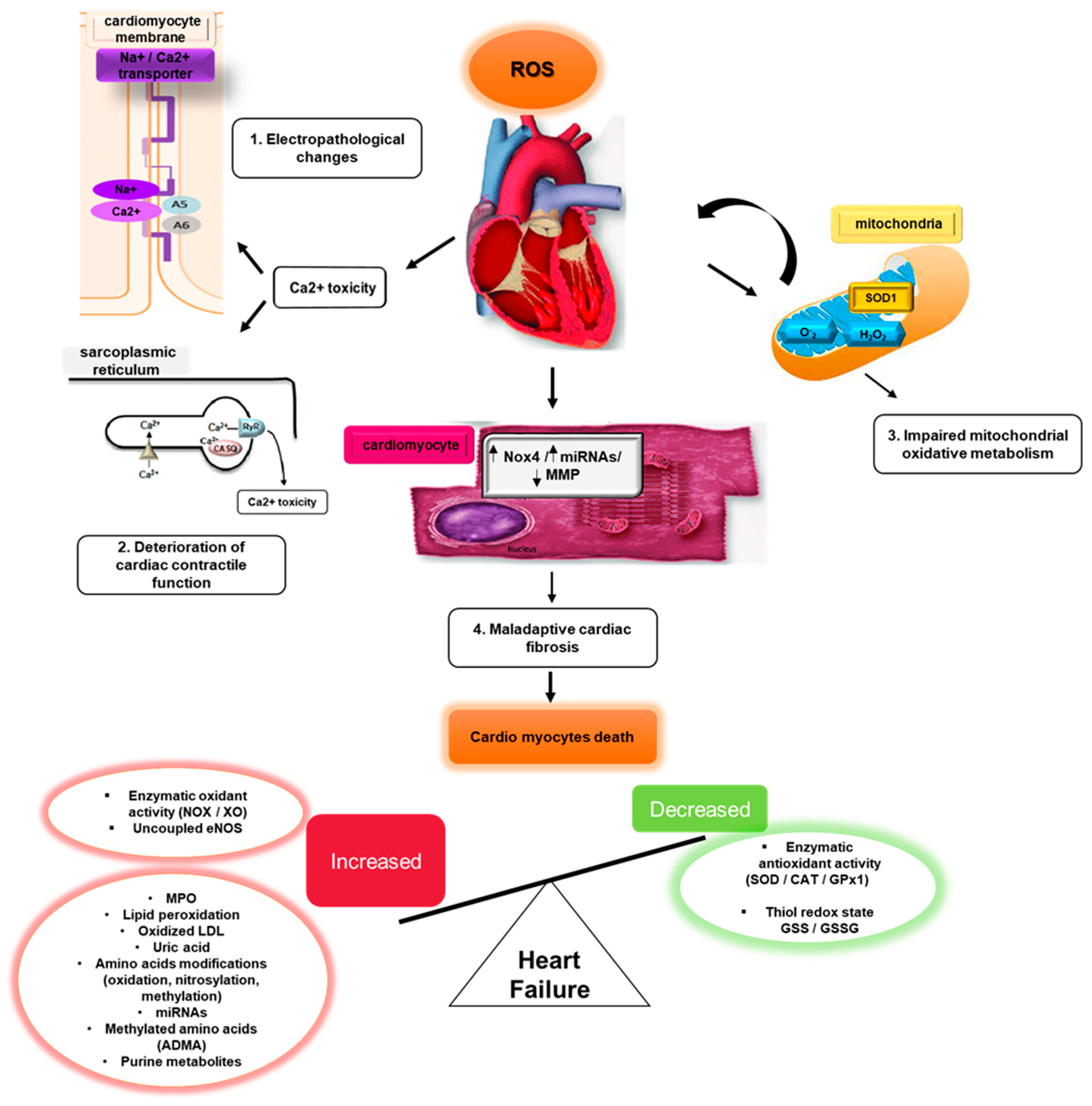 Table 3 from Extracellular Fluid/Intracellular Fluid Volume Ratio as a  Novel Risk Indicator for All-Cause Mortality and Cardiovascular Disease in  Hemodialysis Patients