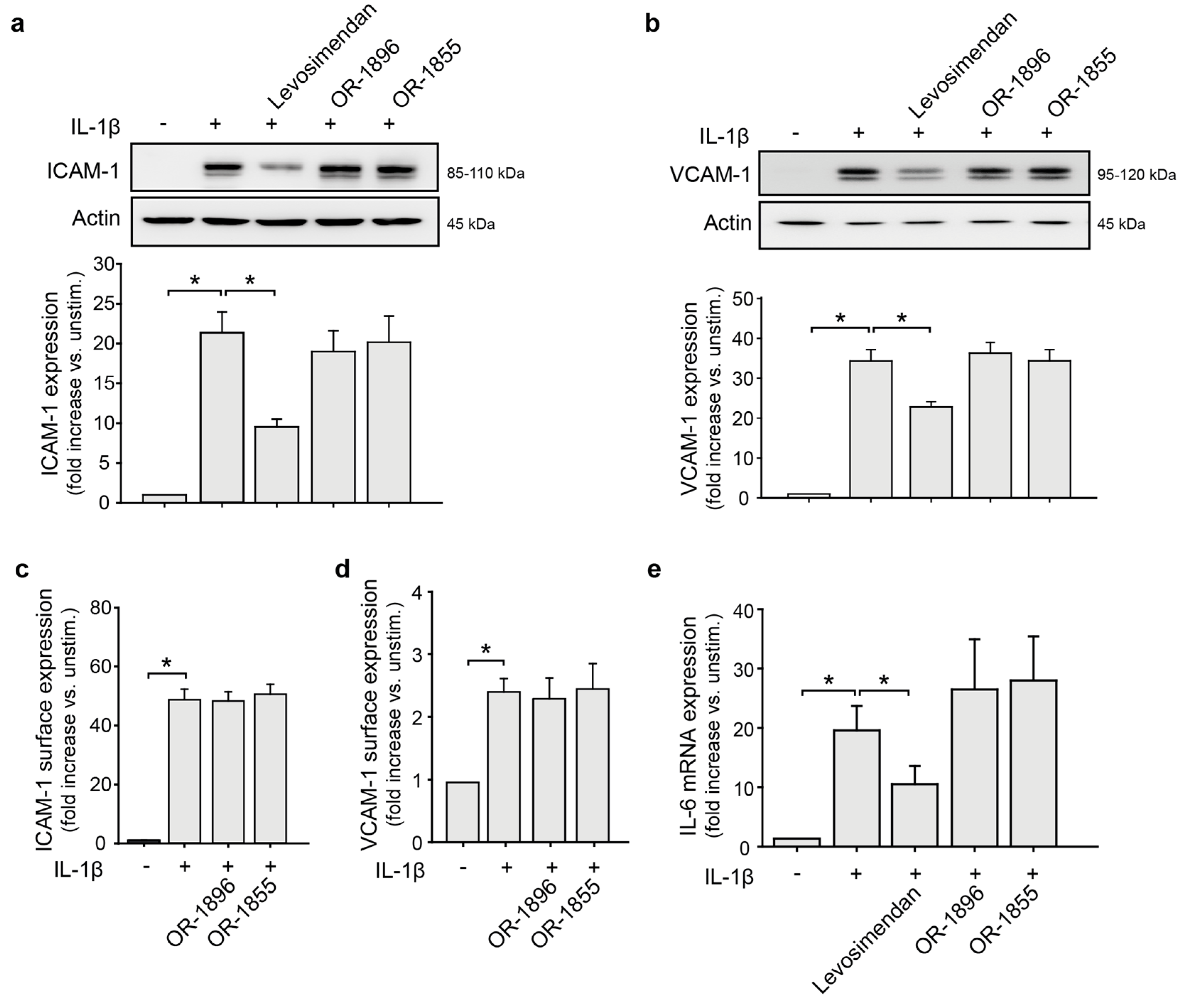 Biomedicines 11 00918 g001 Biomedicines 11 00918 g001