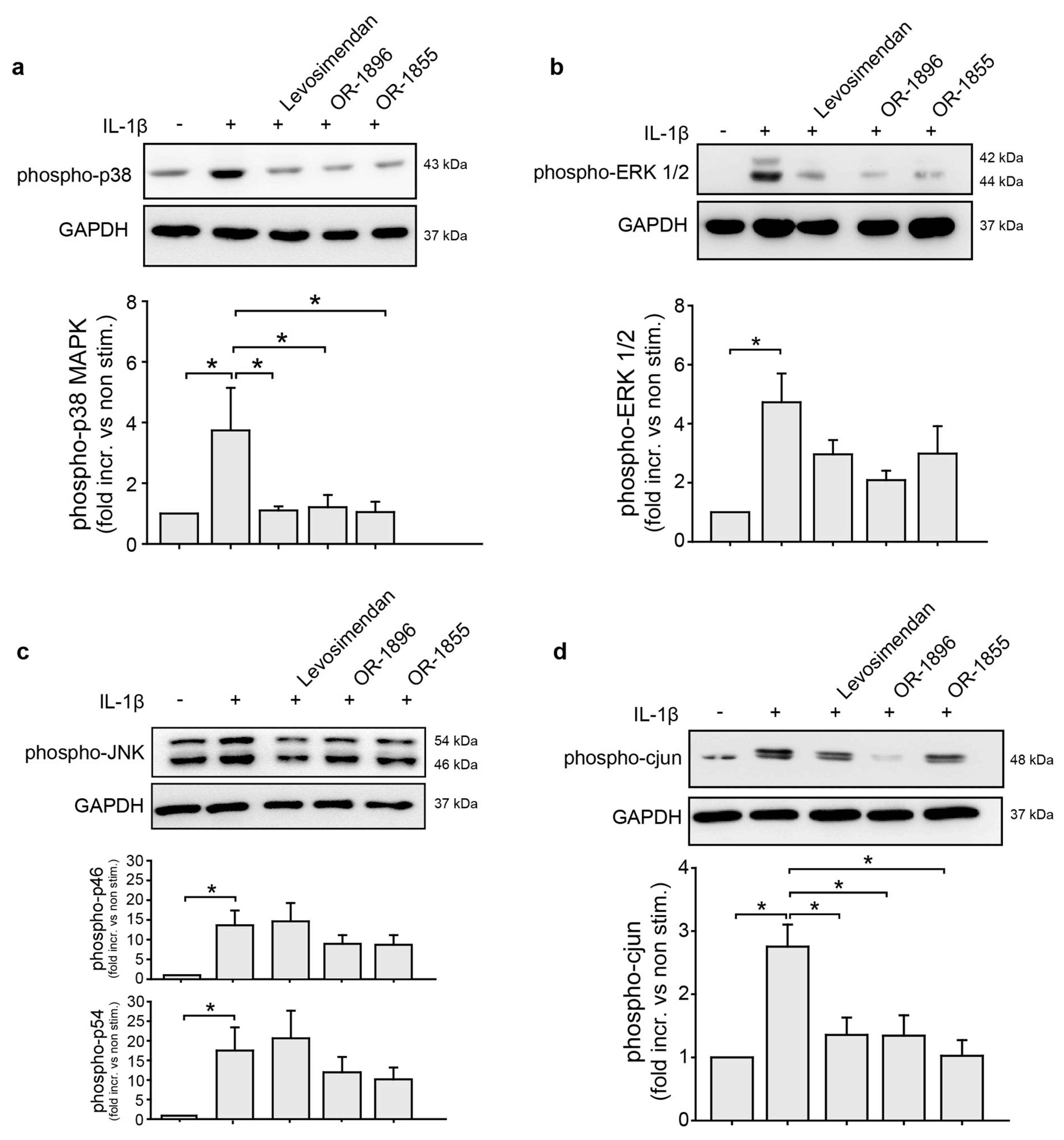 Biomedicines 11 00918 g003 Biomedicines 11 00918 g003