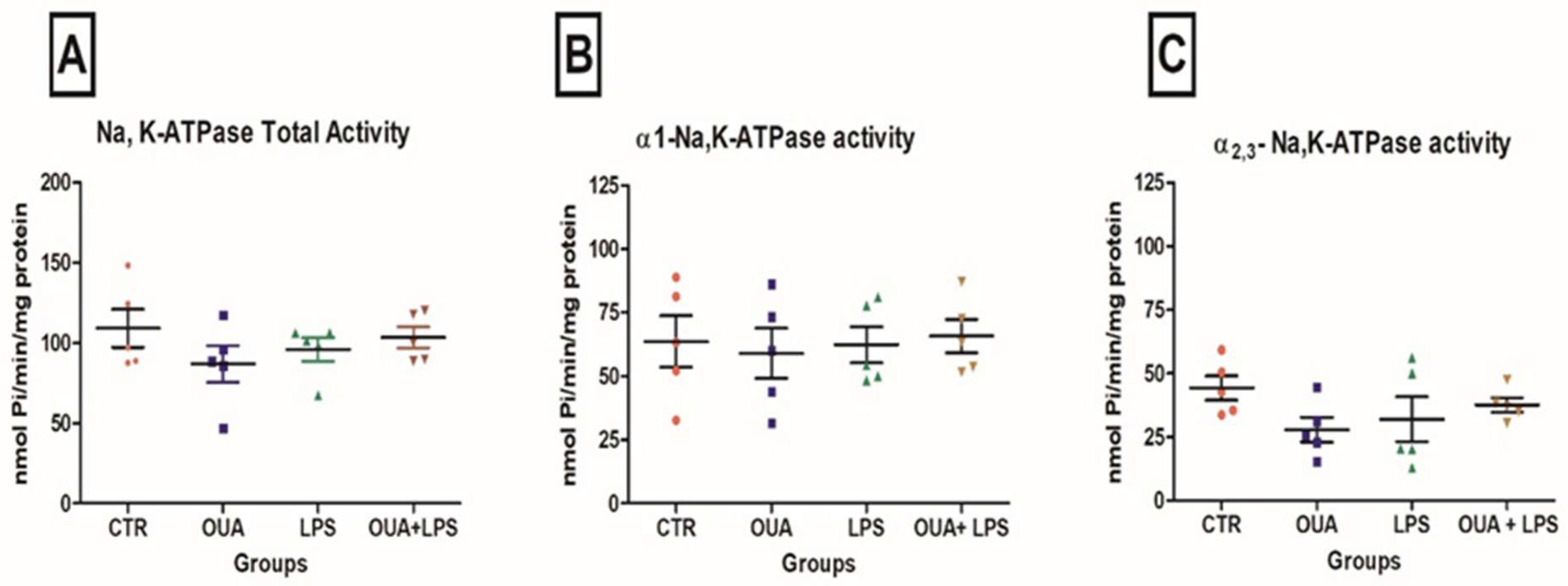 Biomedicines 11 00920 g002 Biomedicines 11 00920 g002