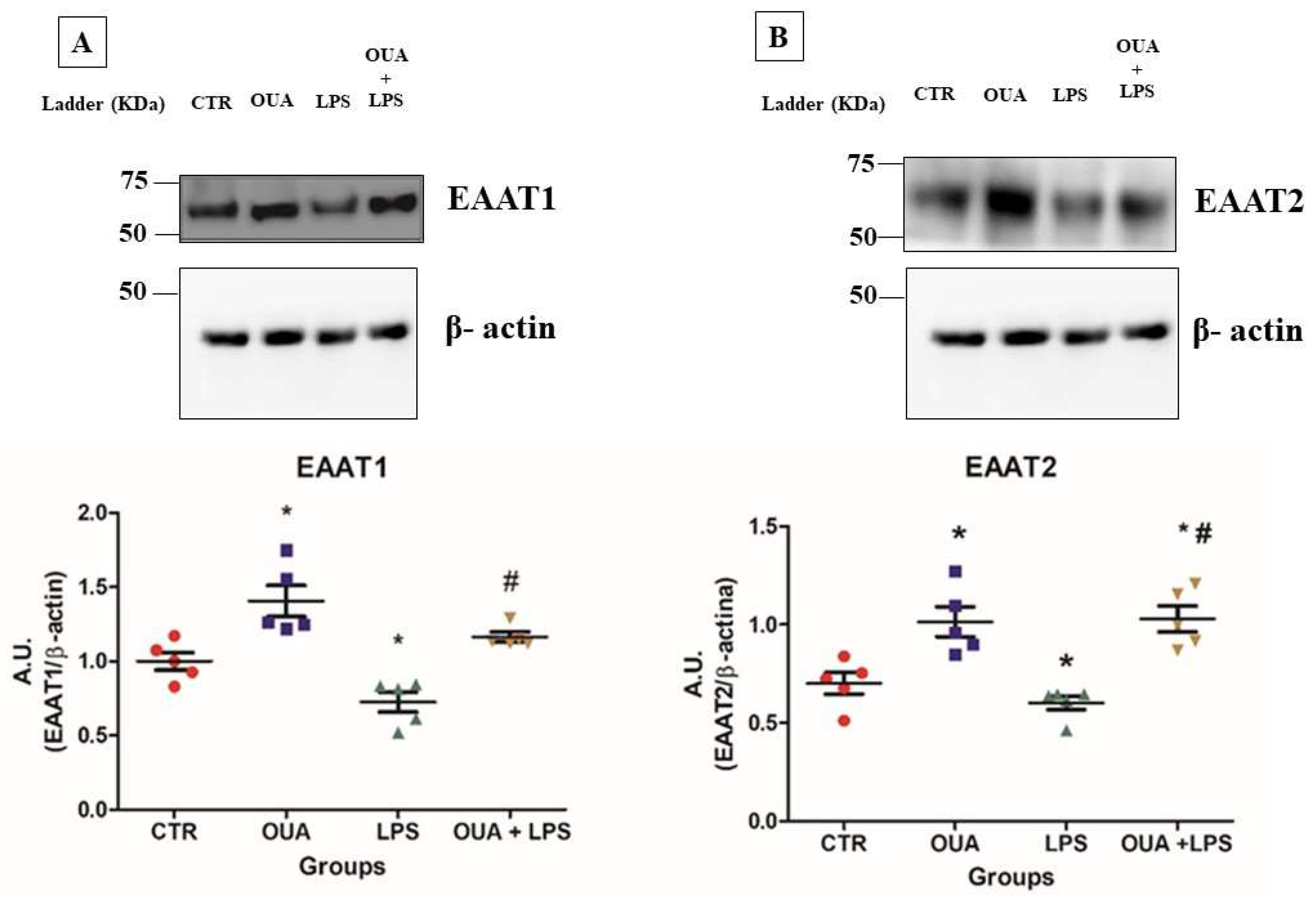 Biomedicines 11 00920 g005 Biomedicines 11 00920 g005