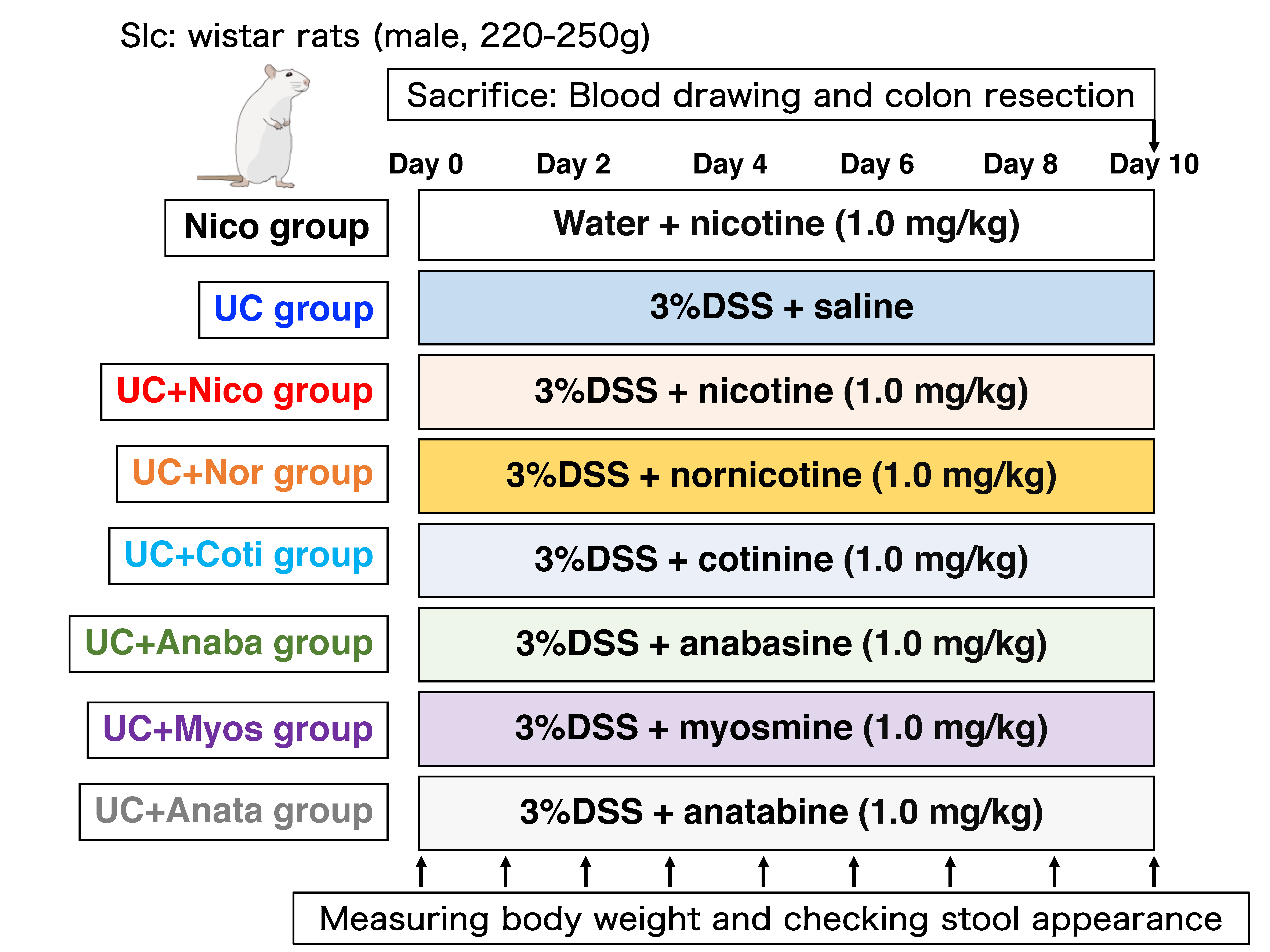 Biomedicines 11 00922 g001
