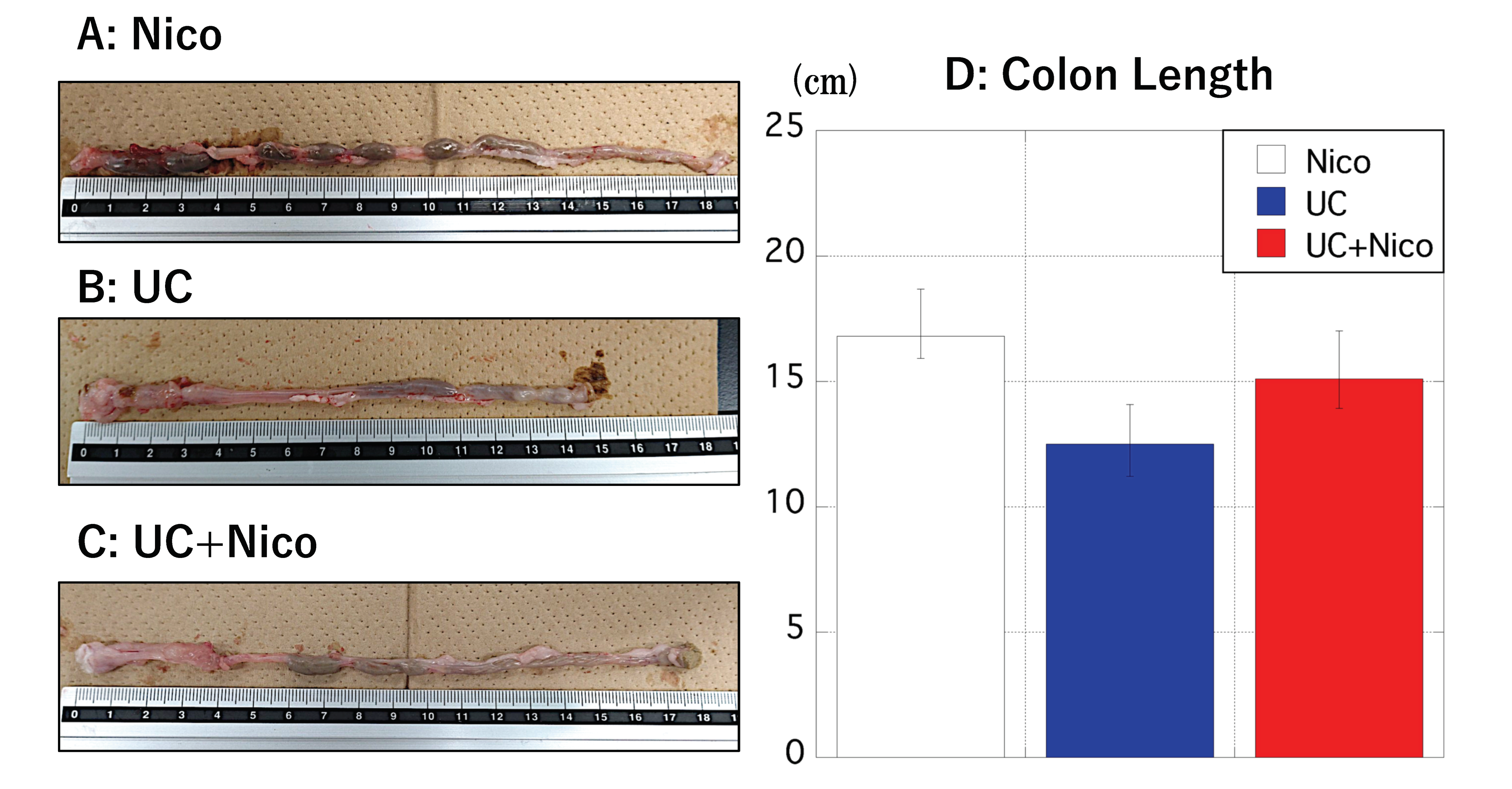 Biomedicines 11 00922 g003