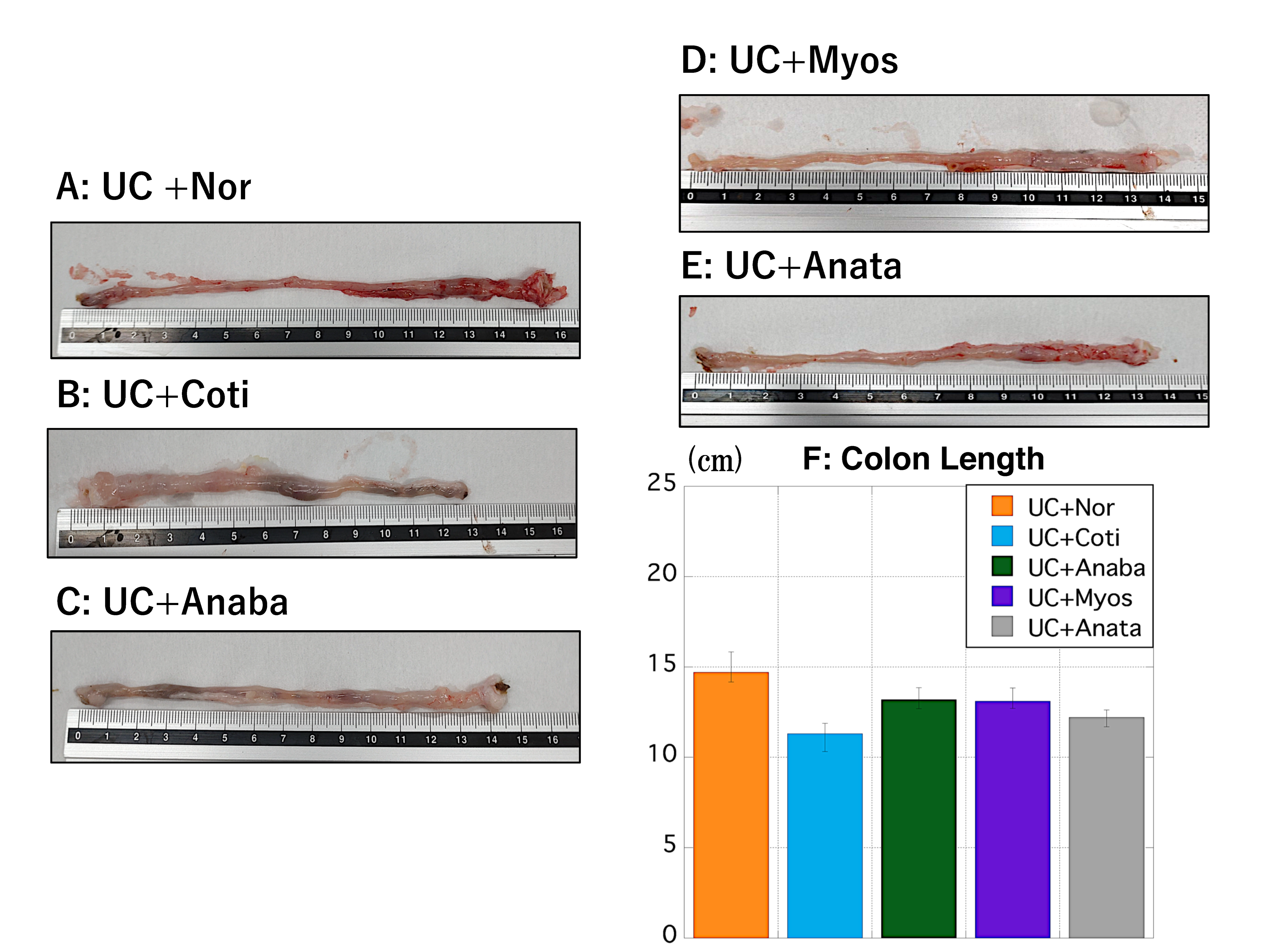 Biomedicines 11 00922 g004
