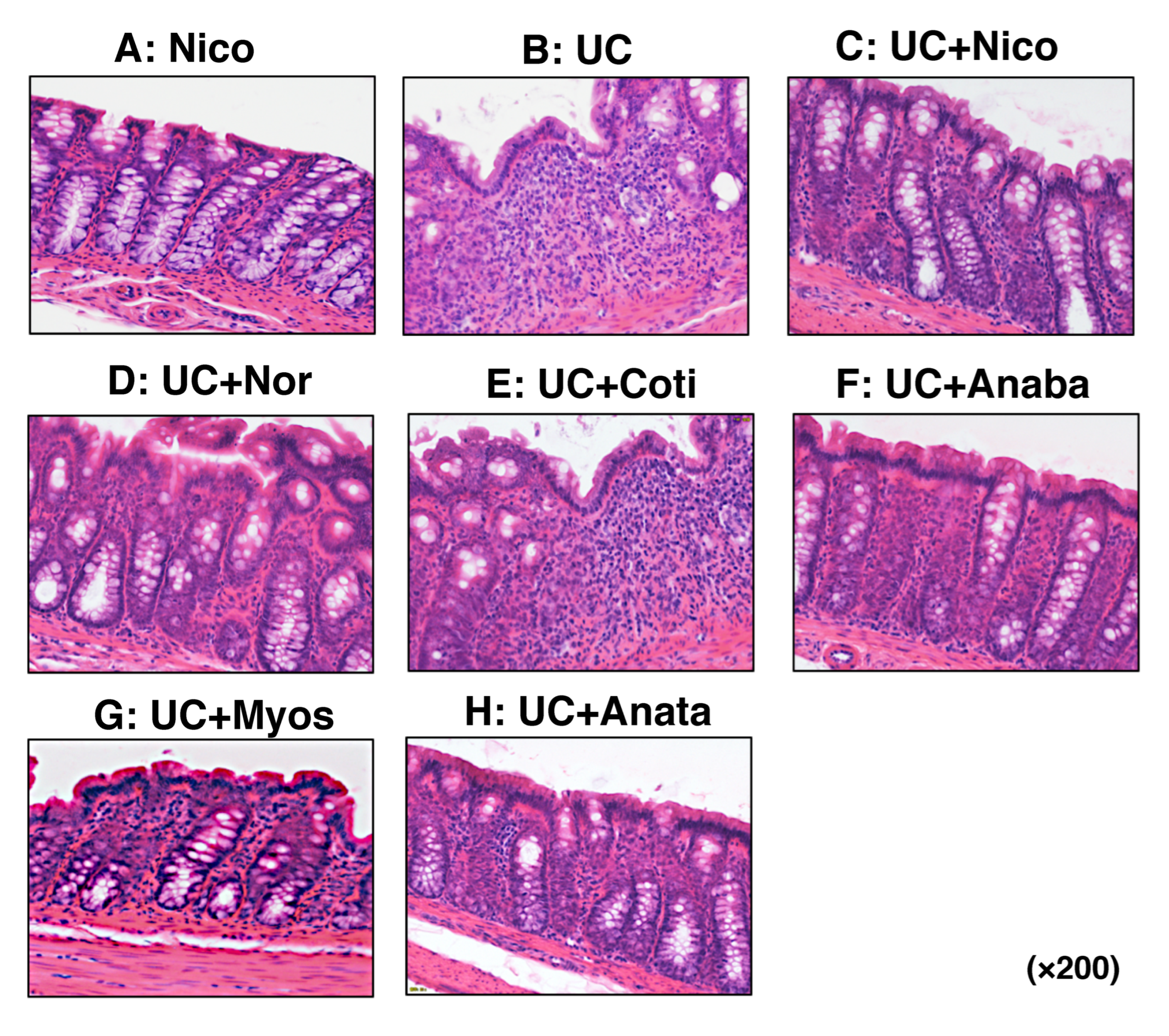 Biomedicines 11 00922 g005
