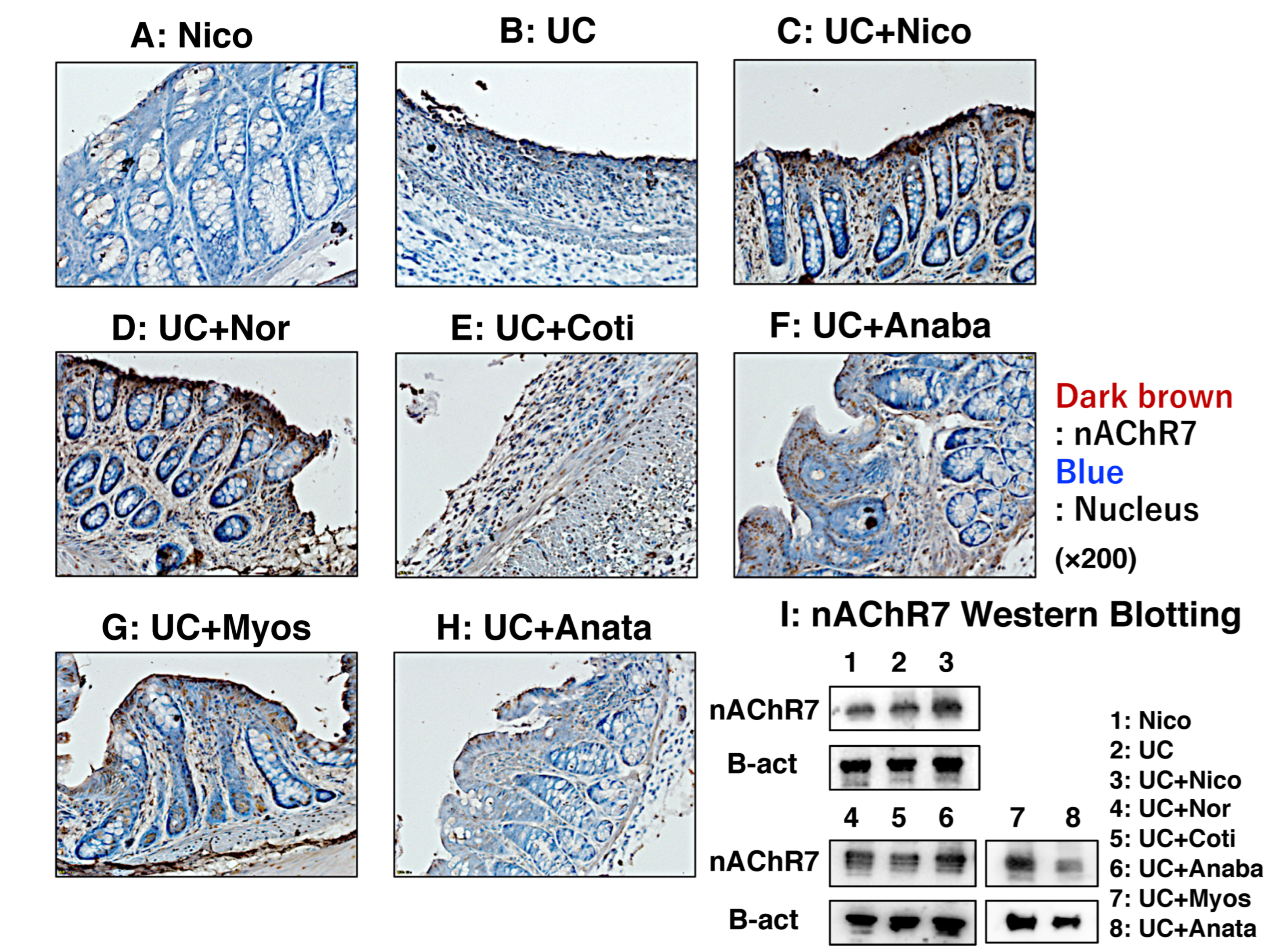 Biomedicines 11 00922 g006